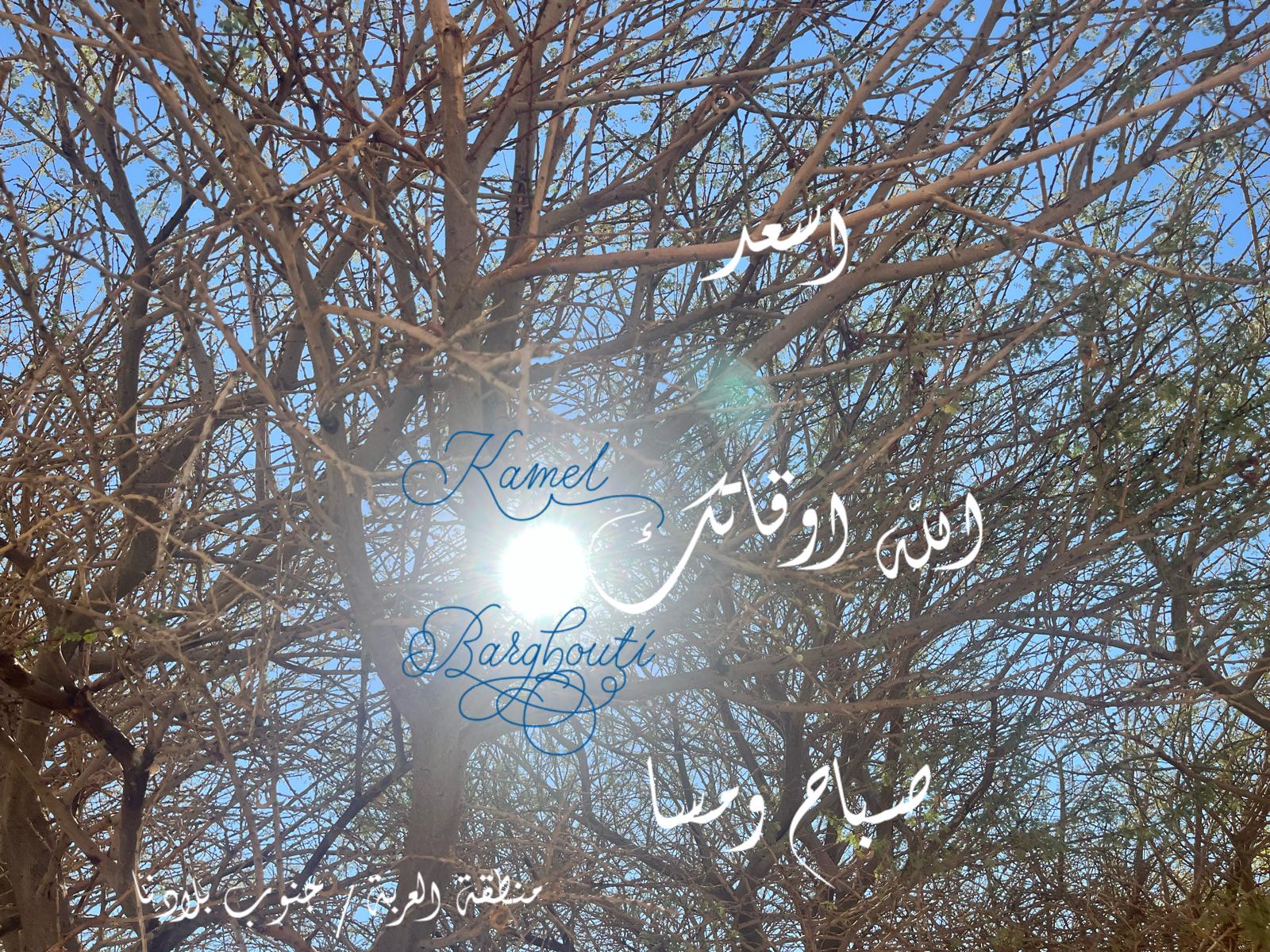 ברכות ואיחולים – ציטוט 19