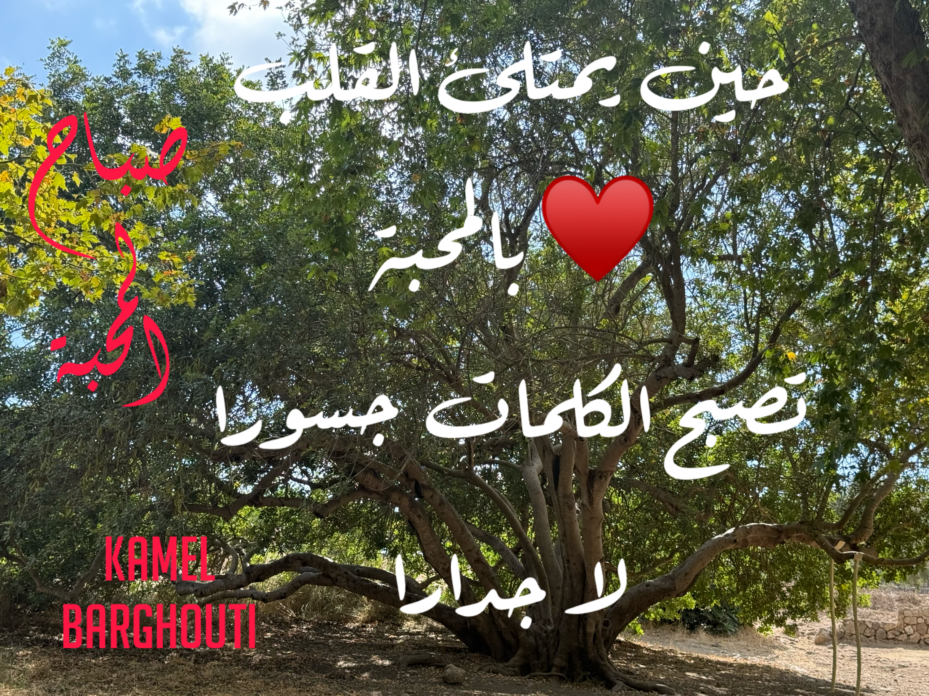 Good Morning – quote 14