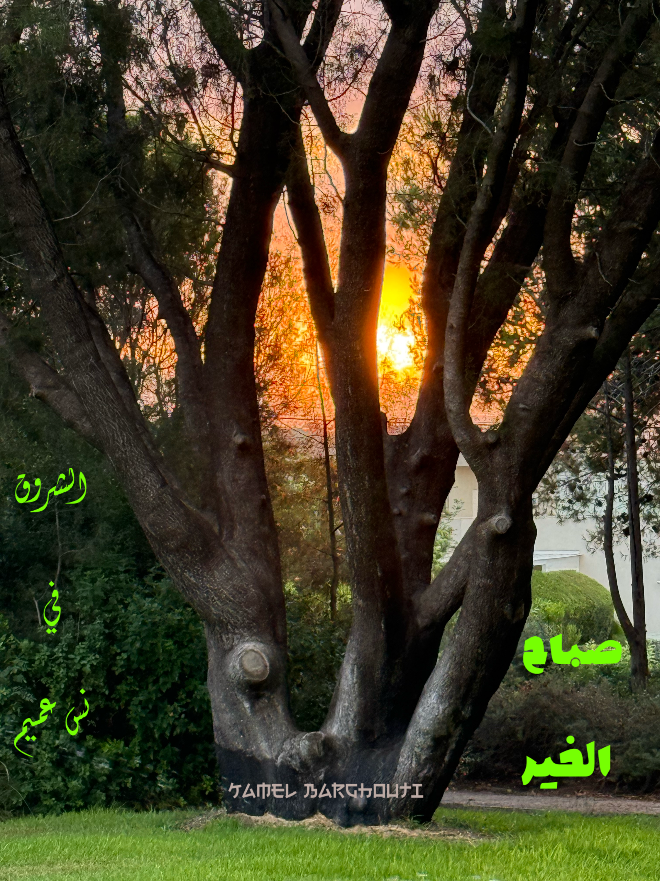 Good Morning – quote 13