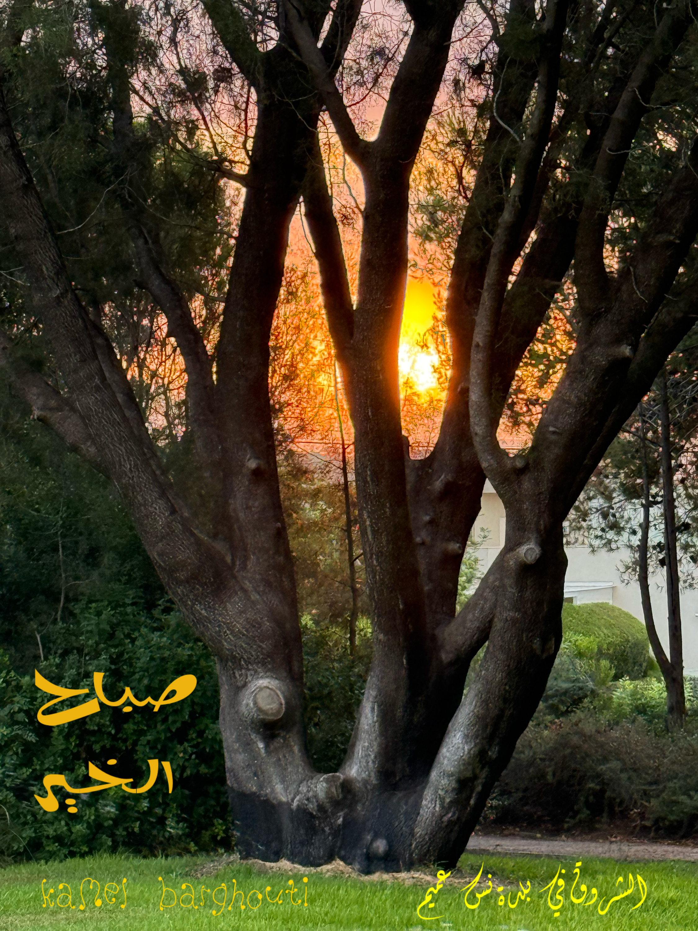 Good Morning – quote 12