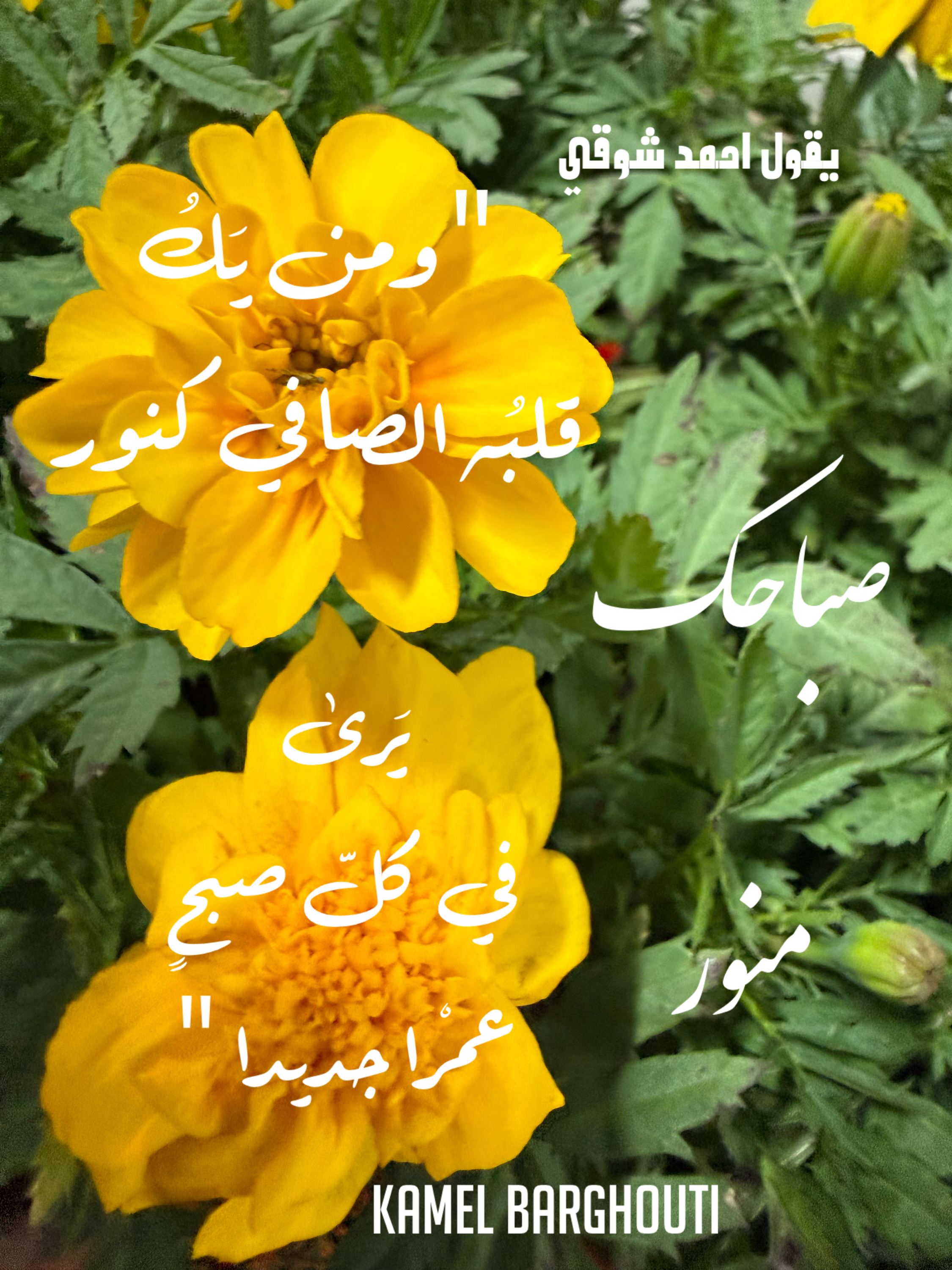 Good Morning – quote 11