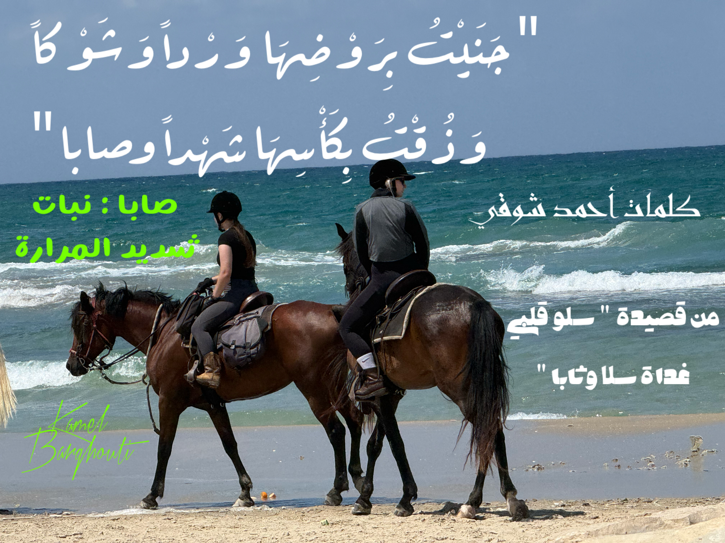 Beautiful Talk – quote 23