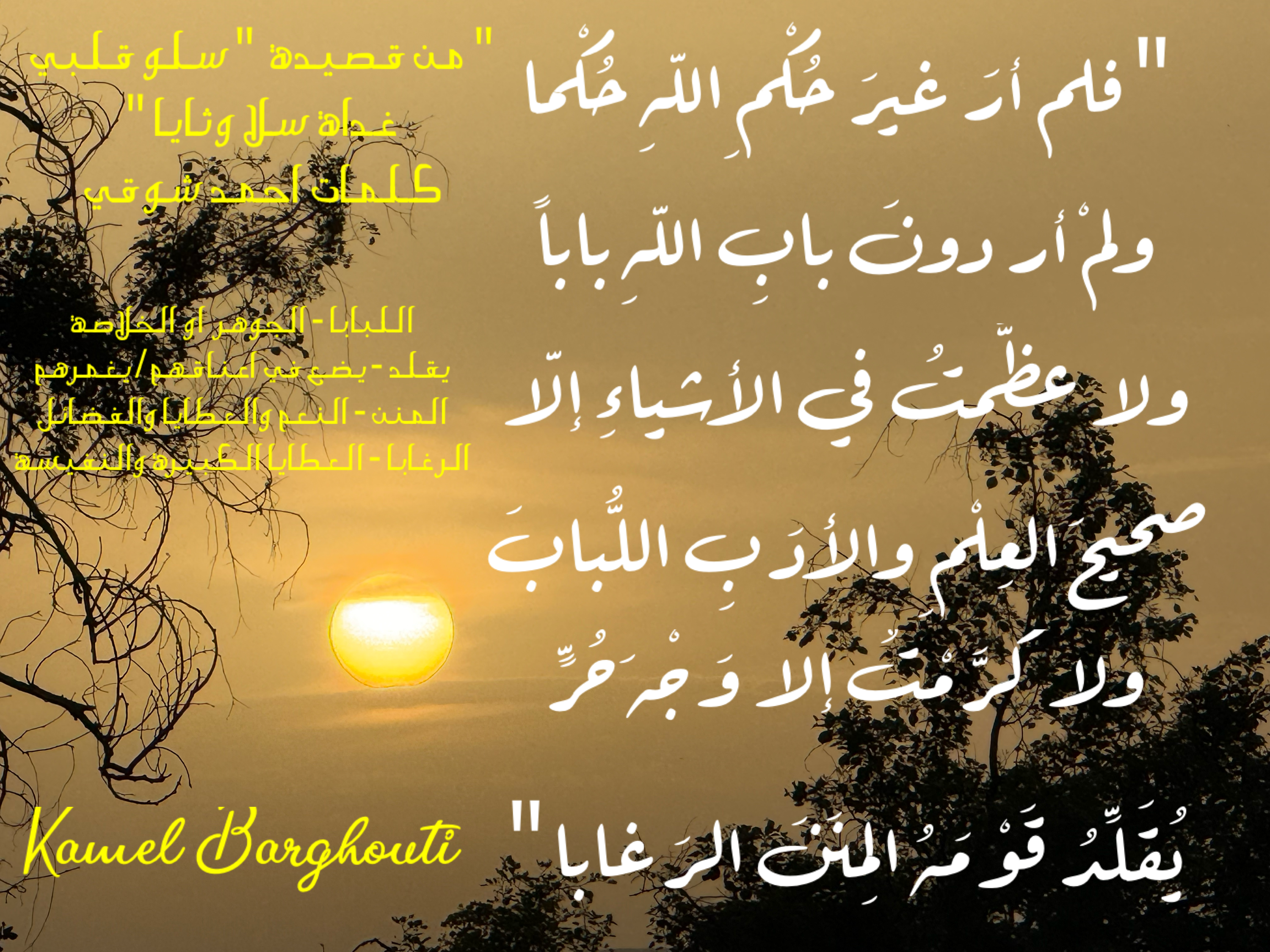 قيم إنسانية – اقتباس 27