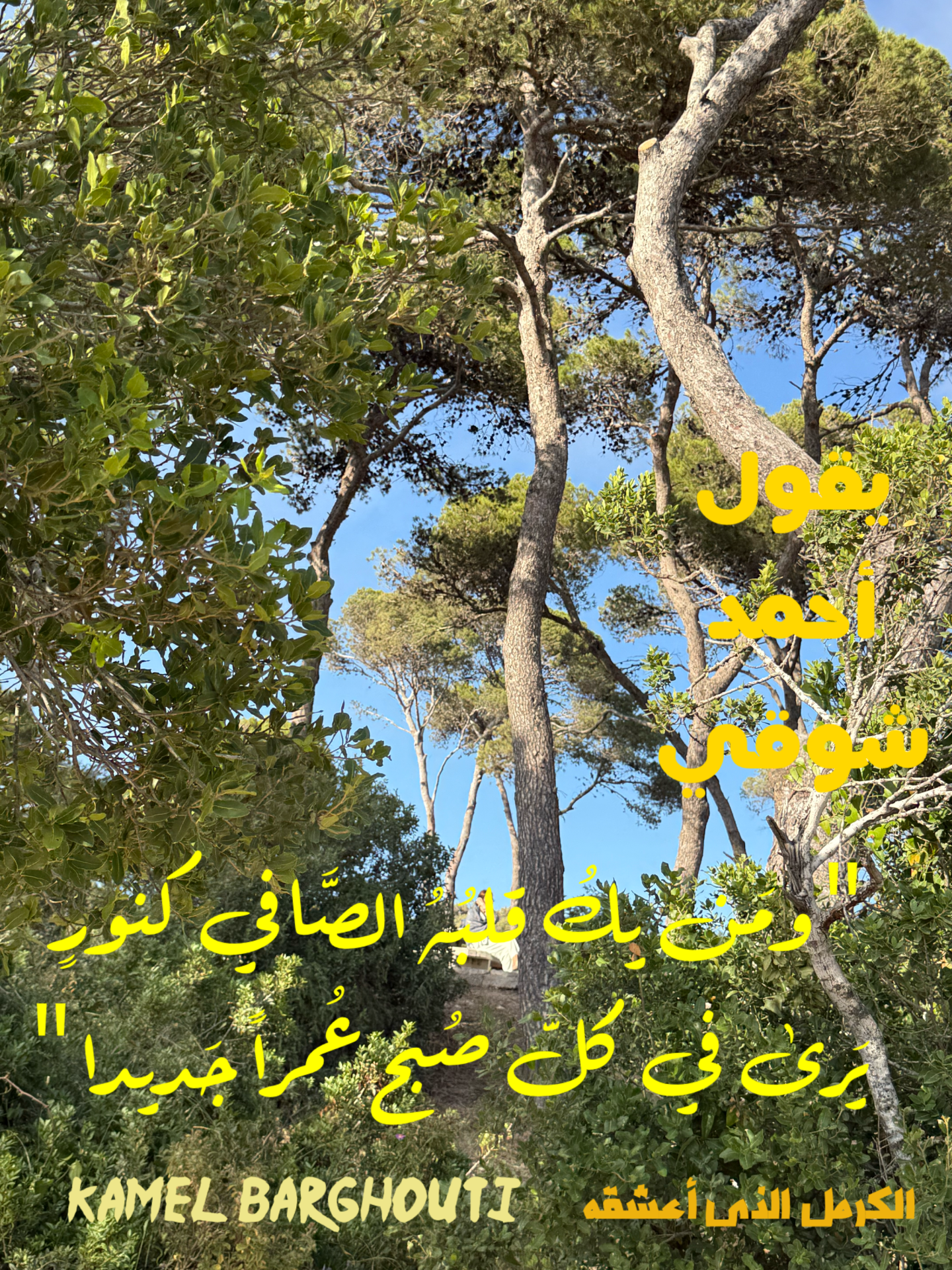 Beautiful Talk – quote 4
