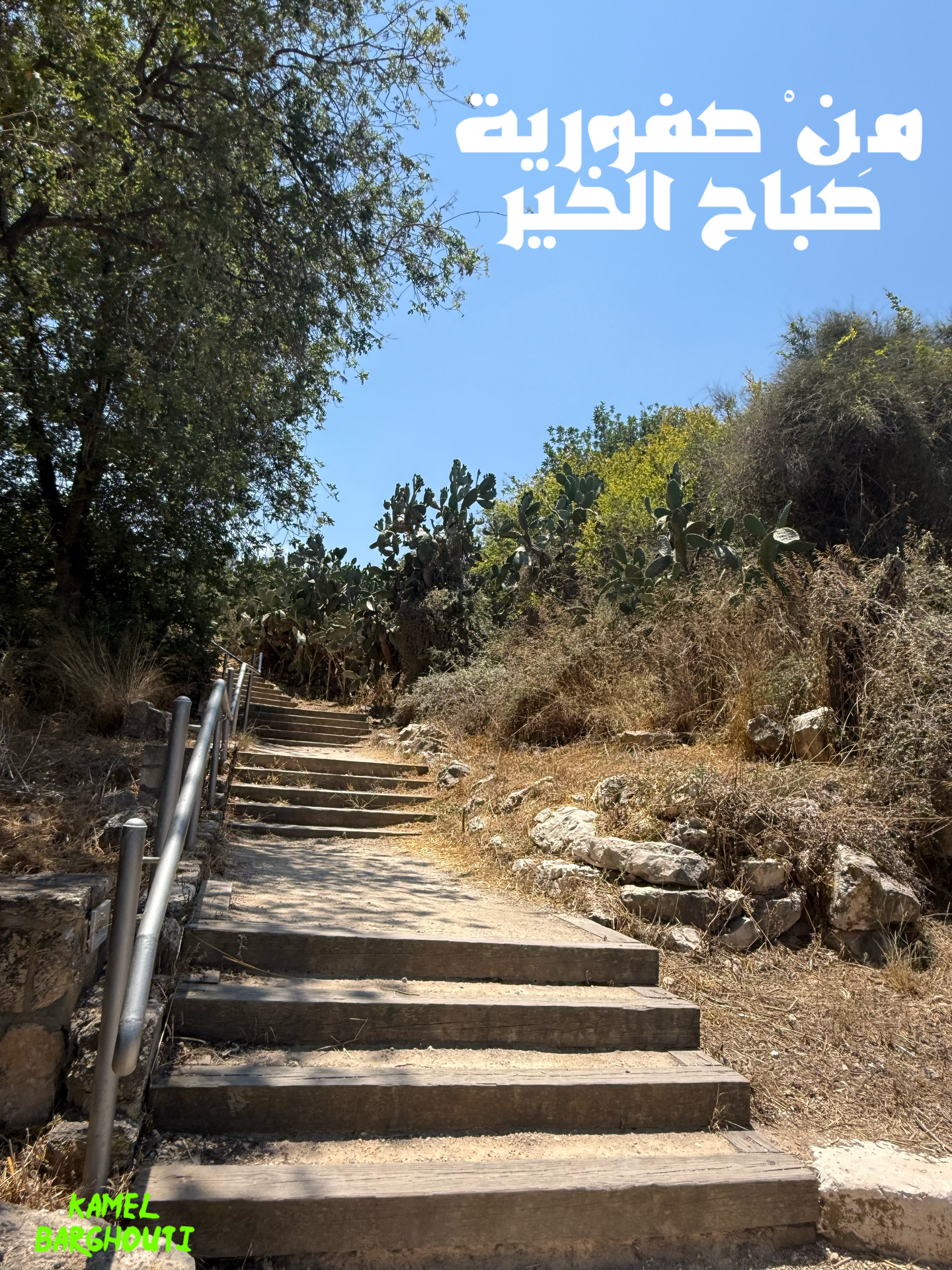 Good Morning – quote 2
