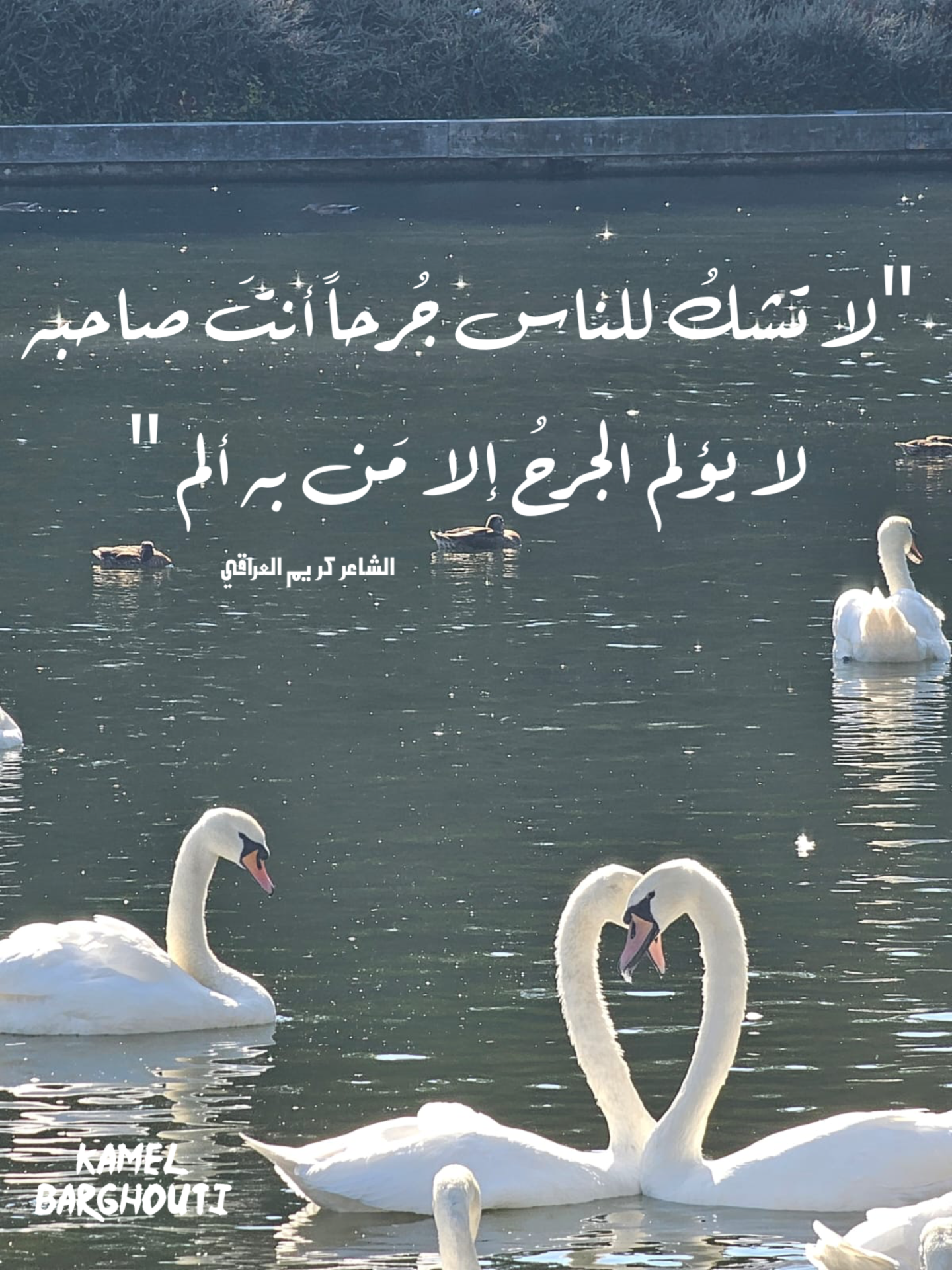Wisdom – quote 11