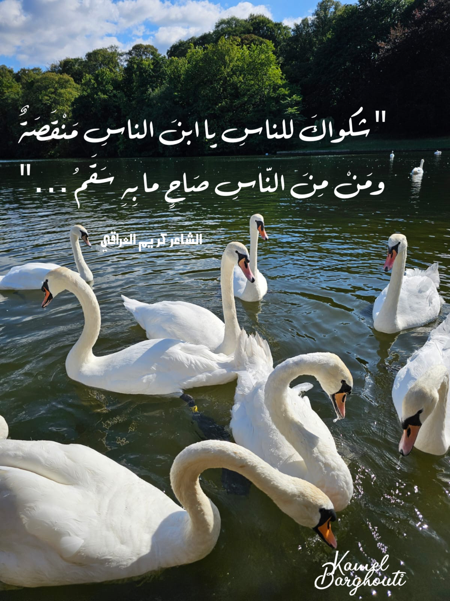 Wisdom – quote 12