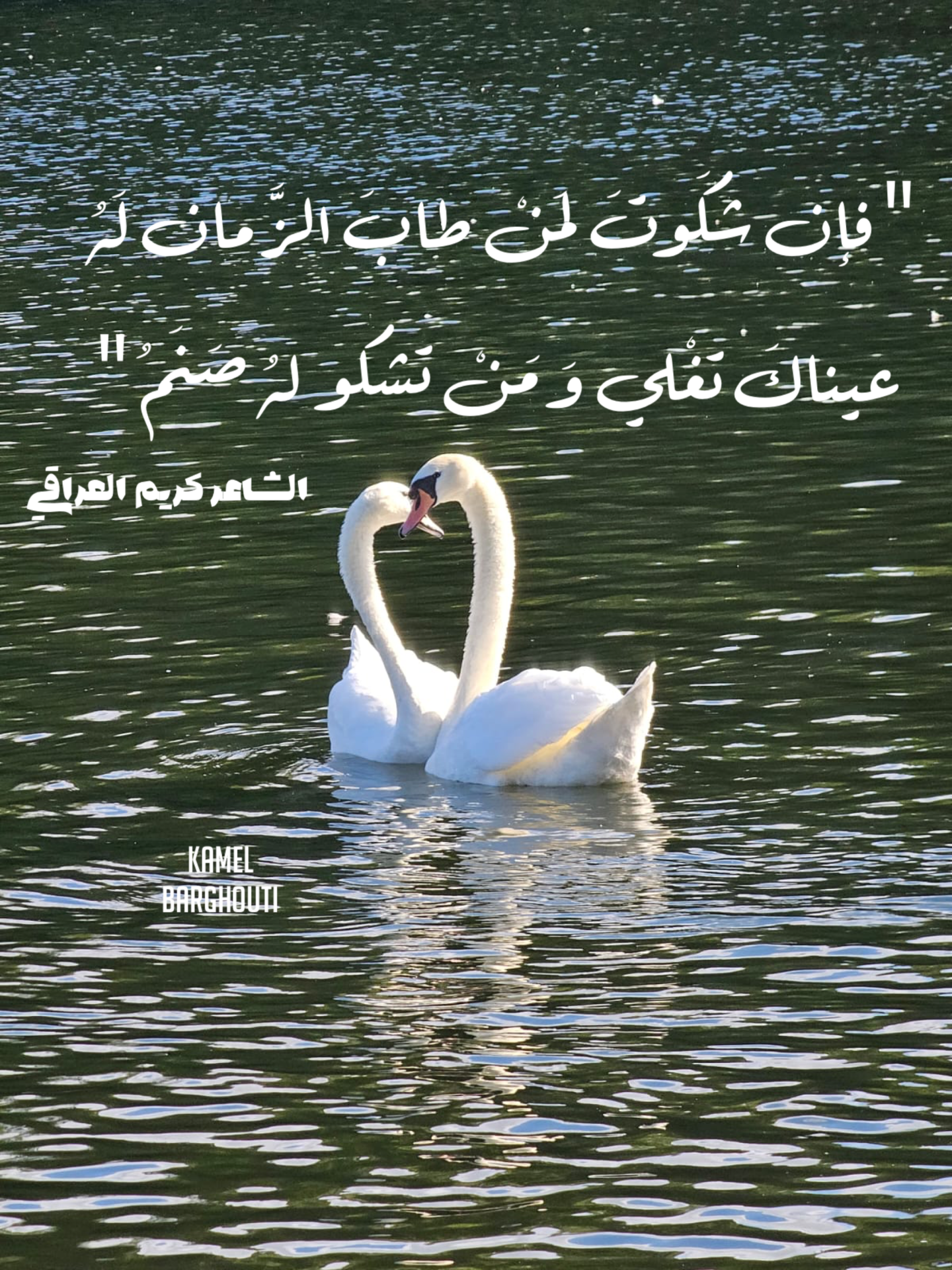 Wisdom – quote 13