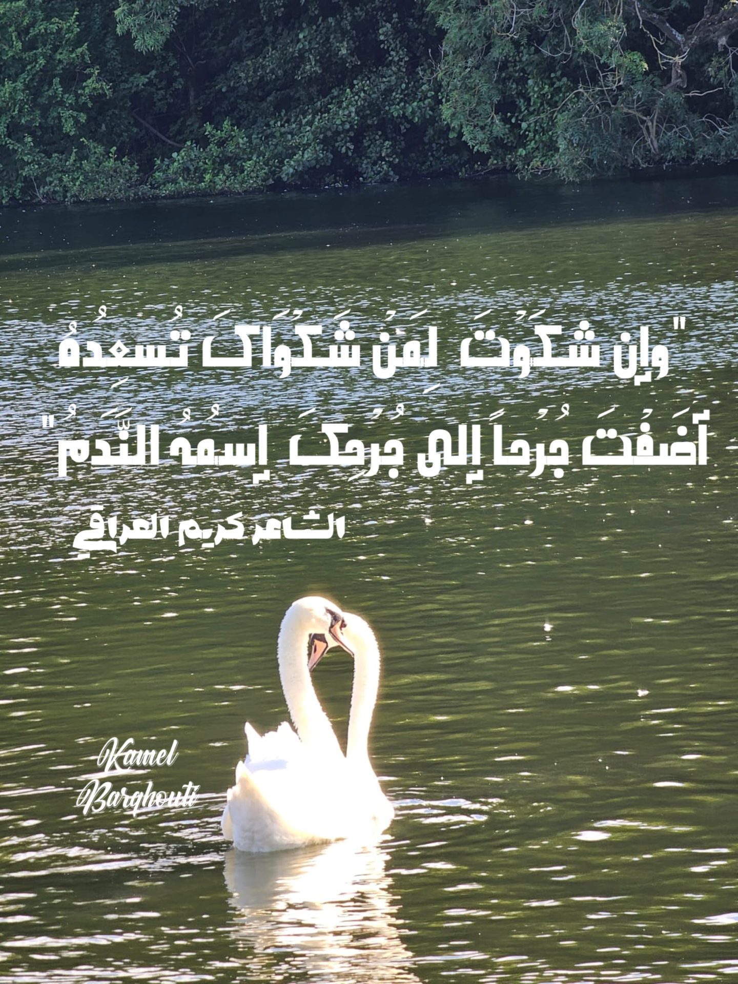 Wisdom – quote 14