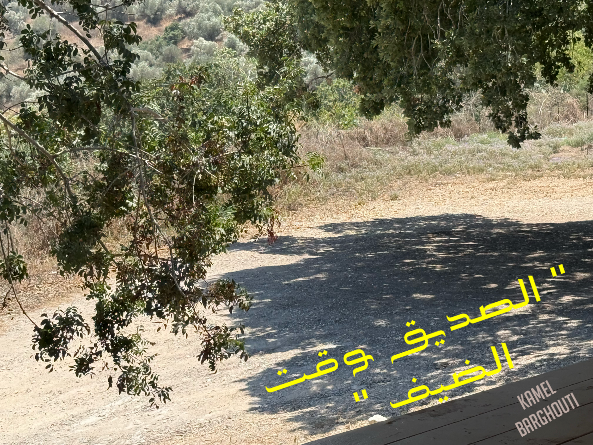أمثال محلية – اقتباس 10