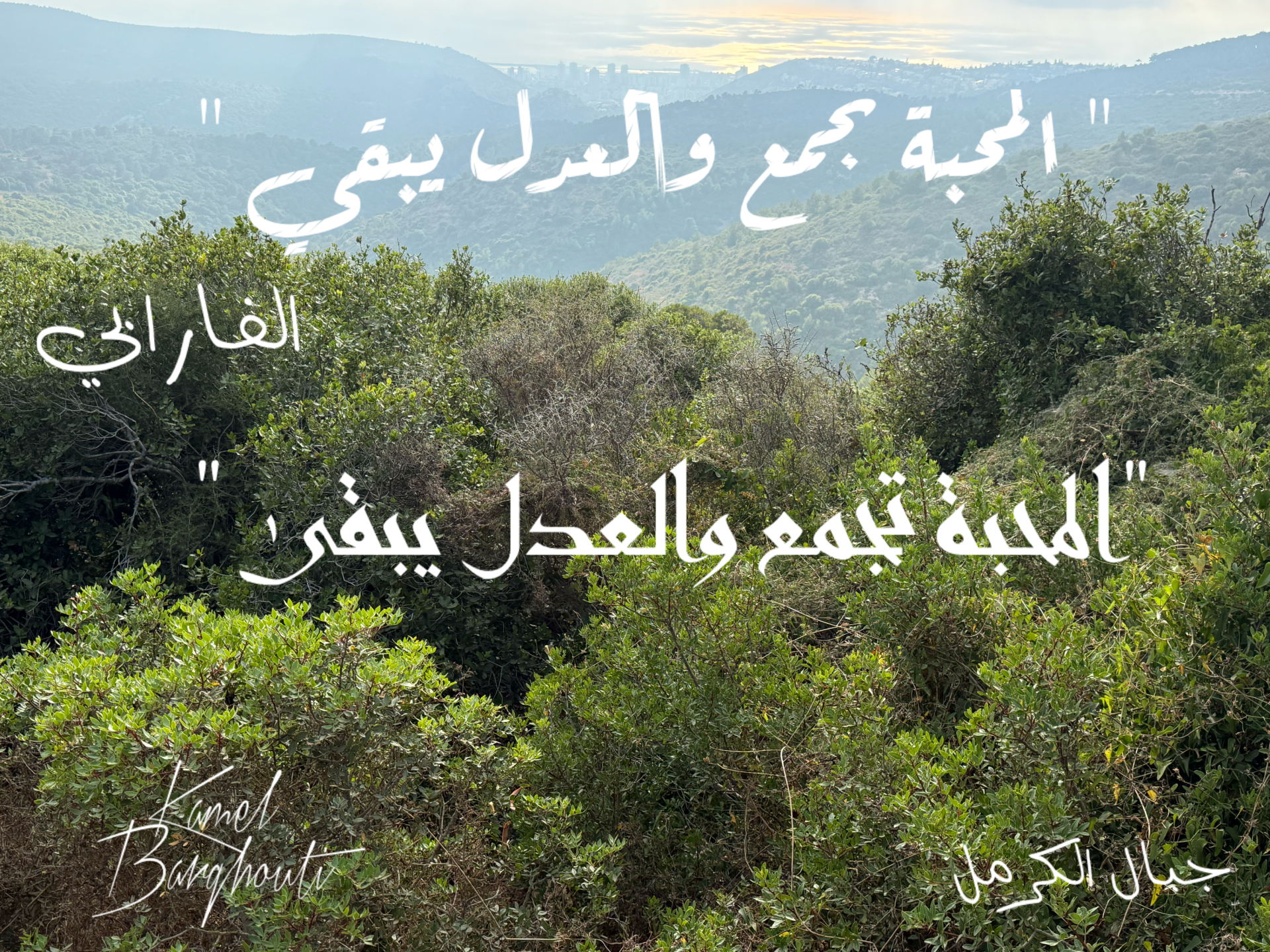 Wisdom – quote 19