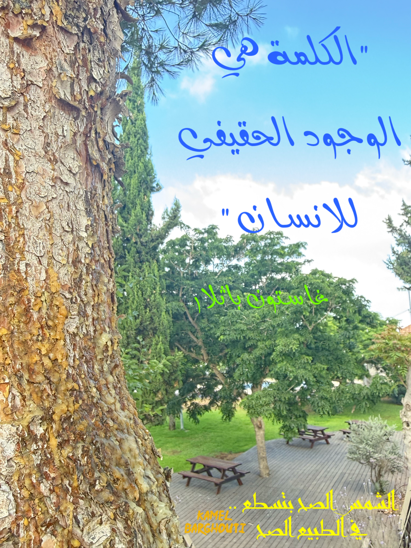 Beautiful Talk – quote 12