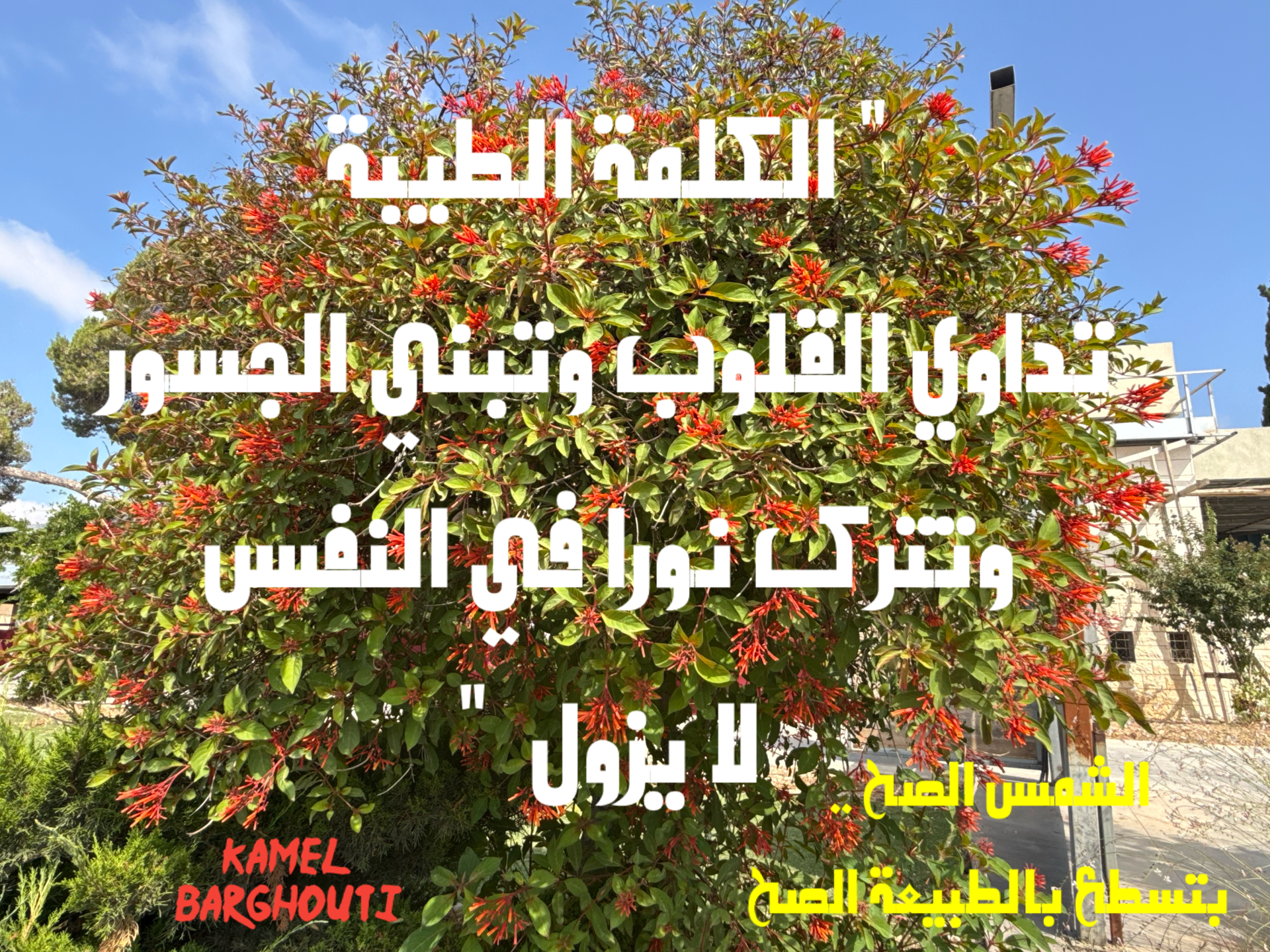 Beautiful Talk – quote 14