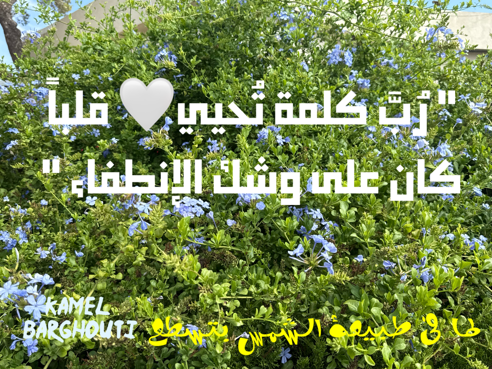 Beautiful Talk – quote 15