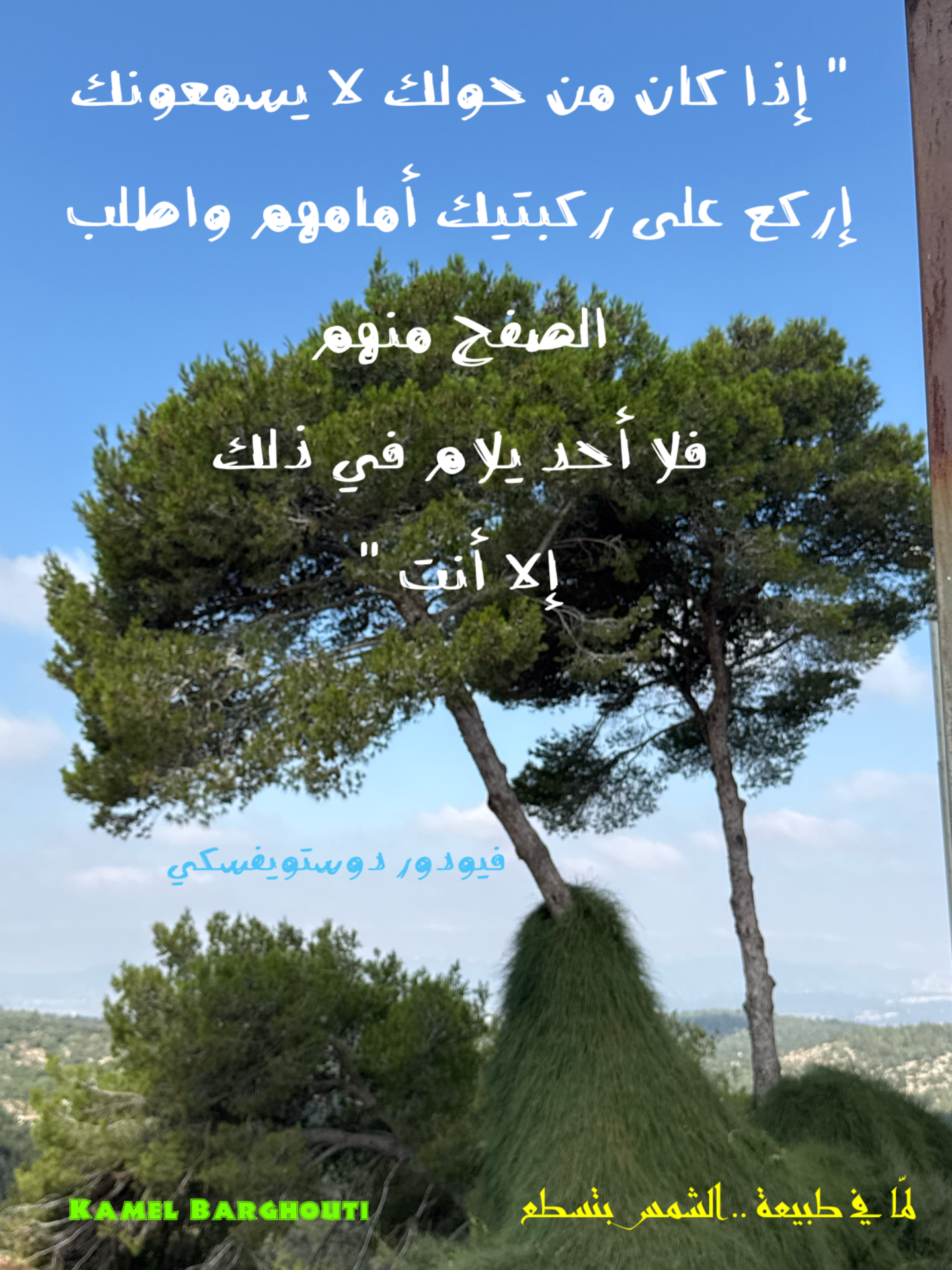 Wisdom – quote 38