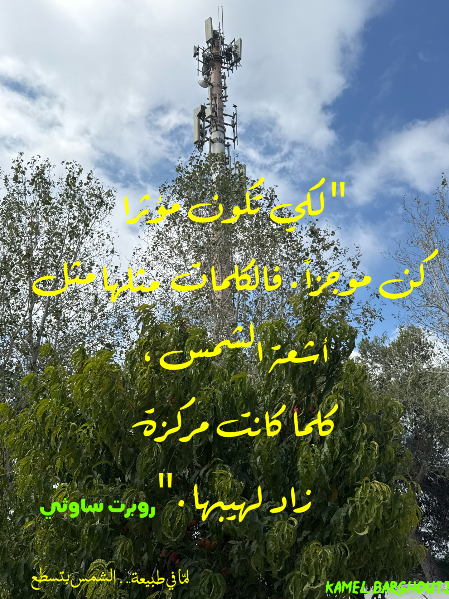 Wisdom – quote 39
