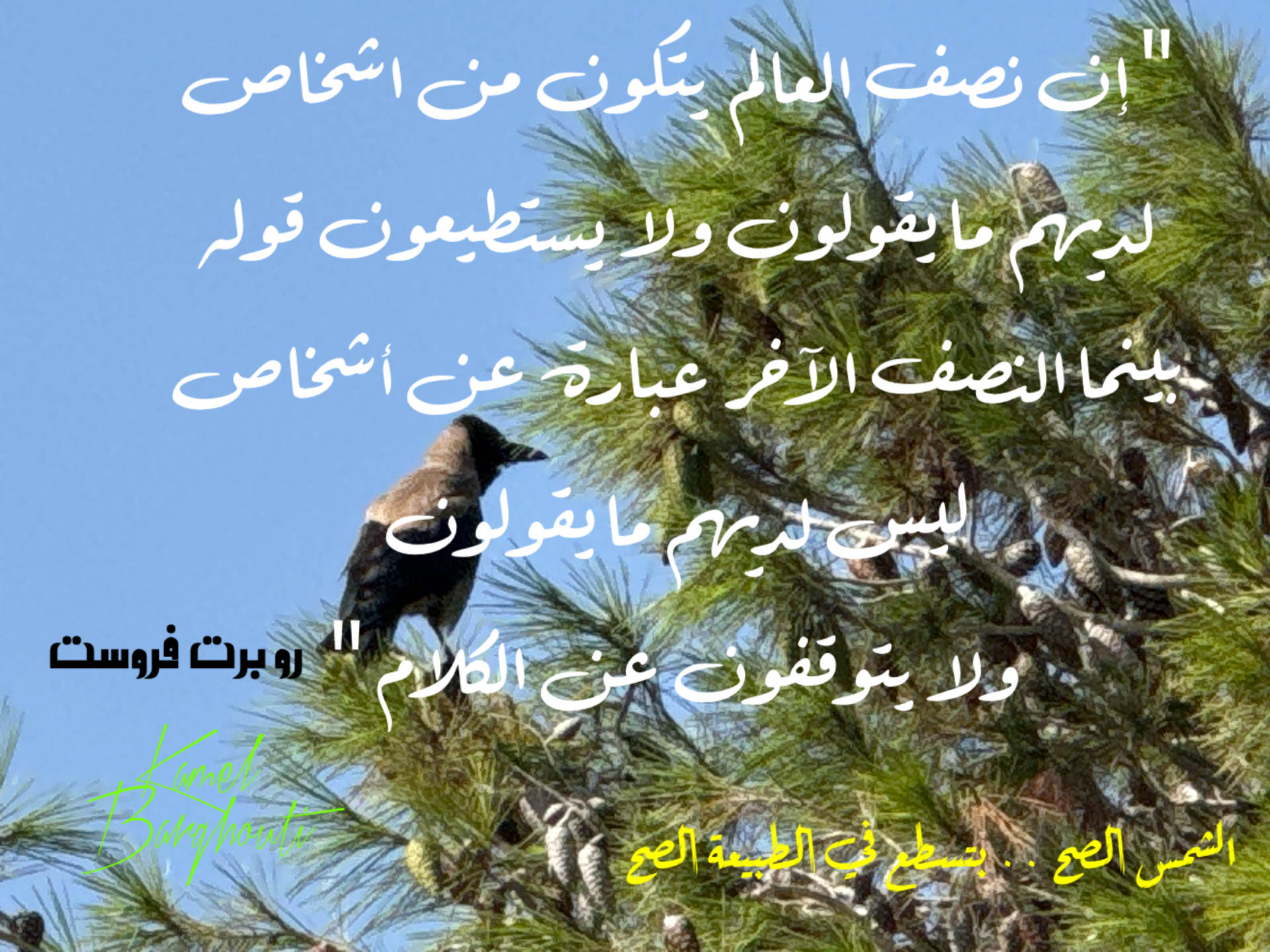 Wisdom – quote 41