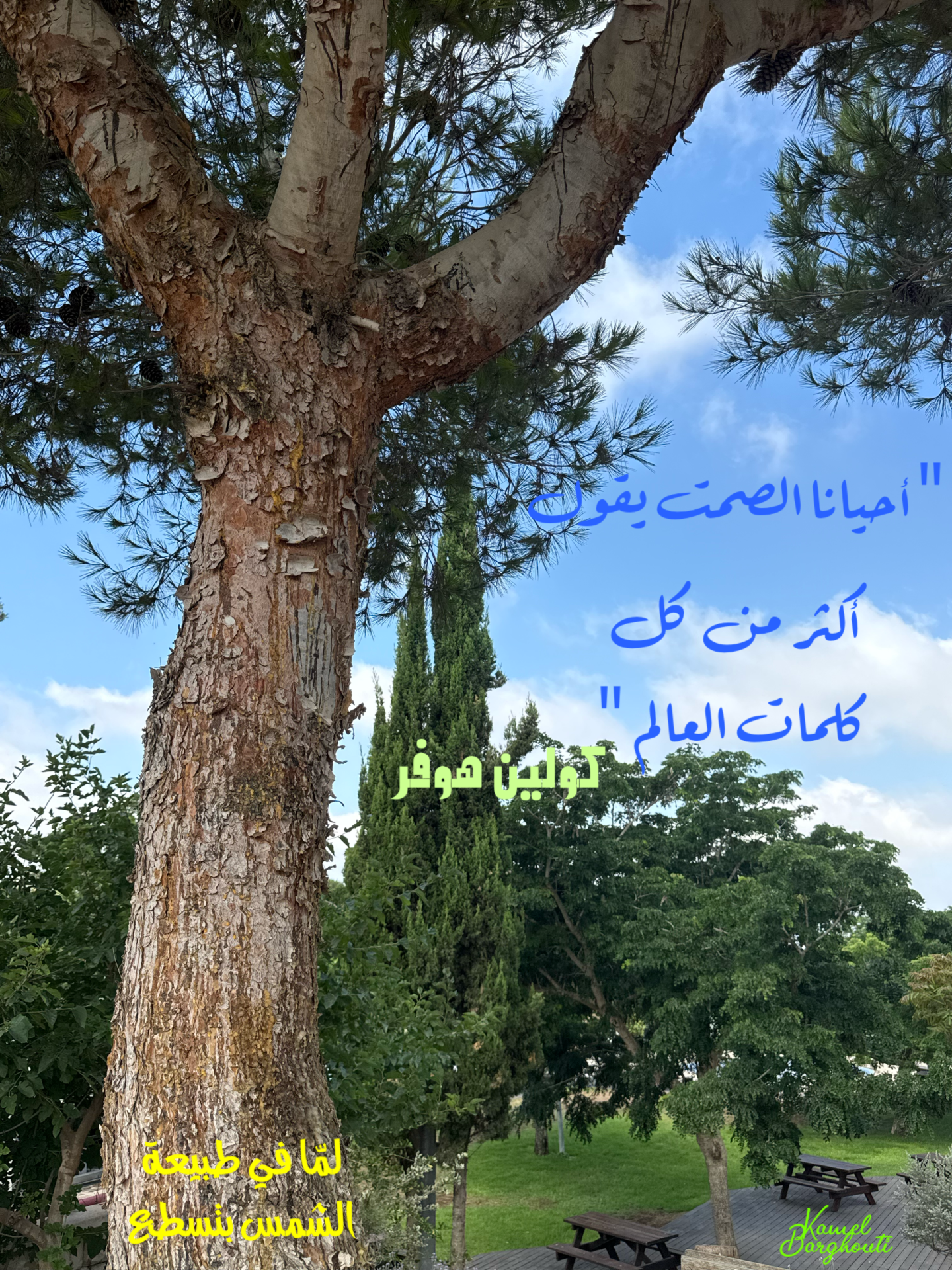 Wisdom – quote 44