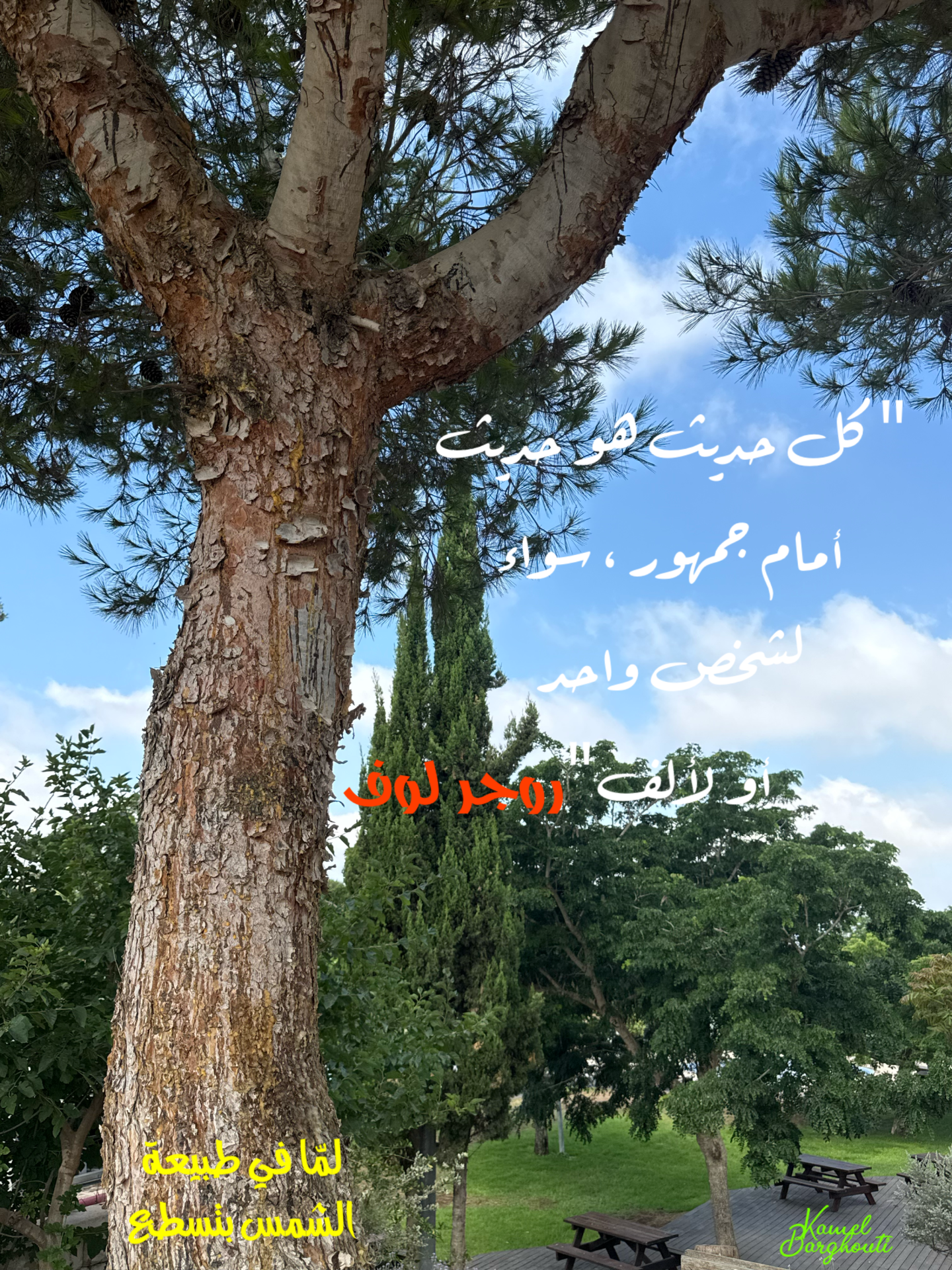 Wisdom – quote 46
