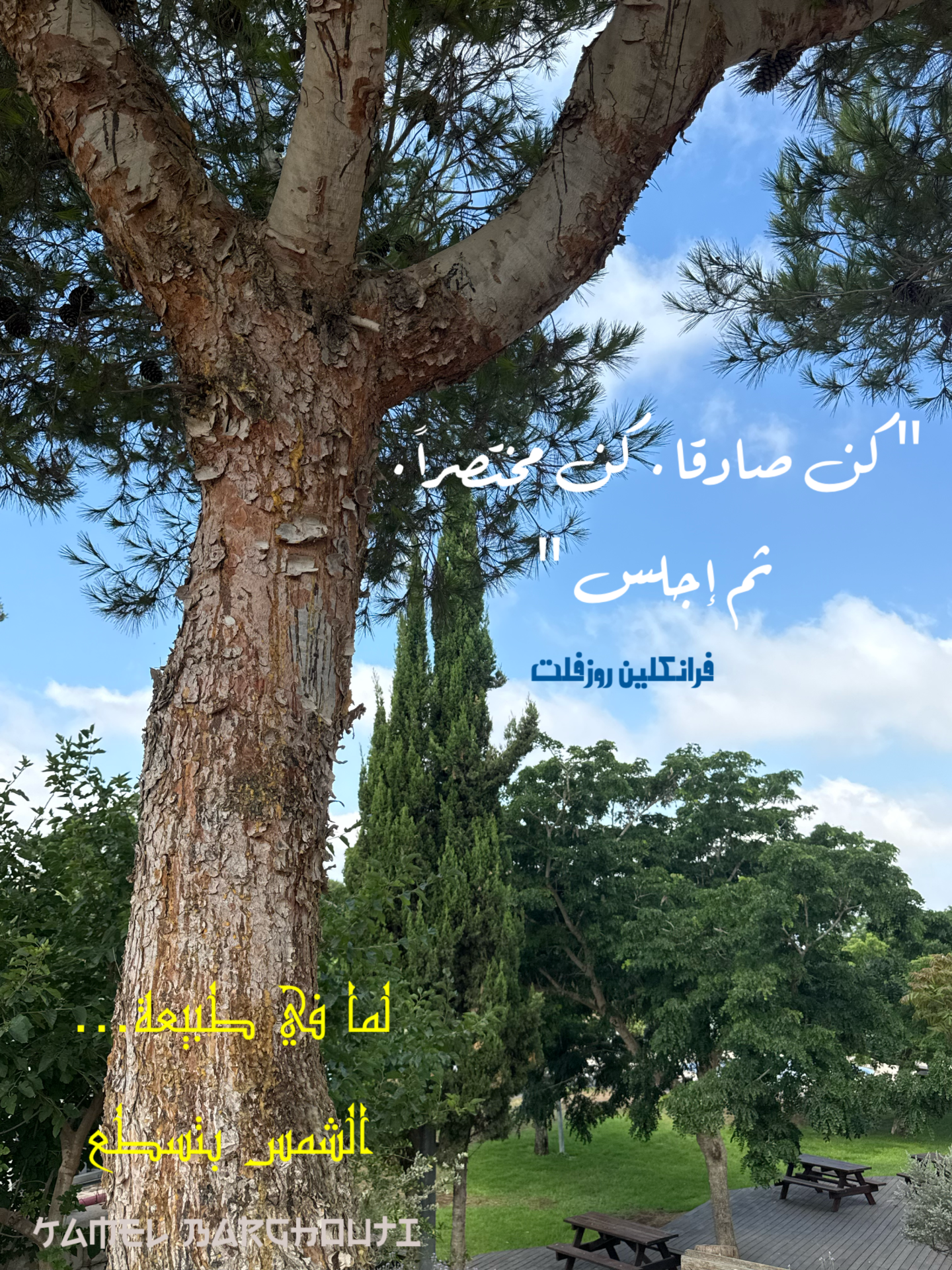 قيم إنسانية – اقتباس 7