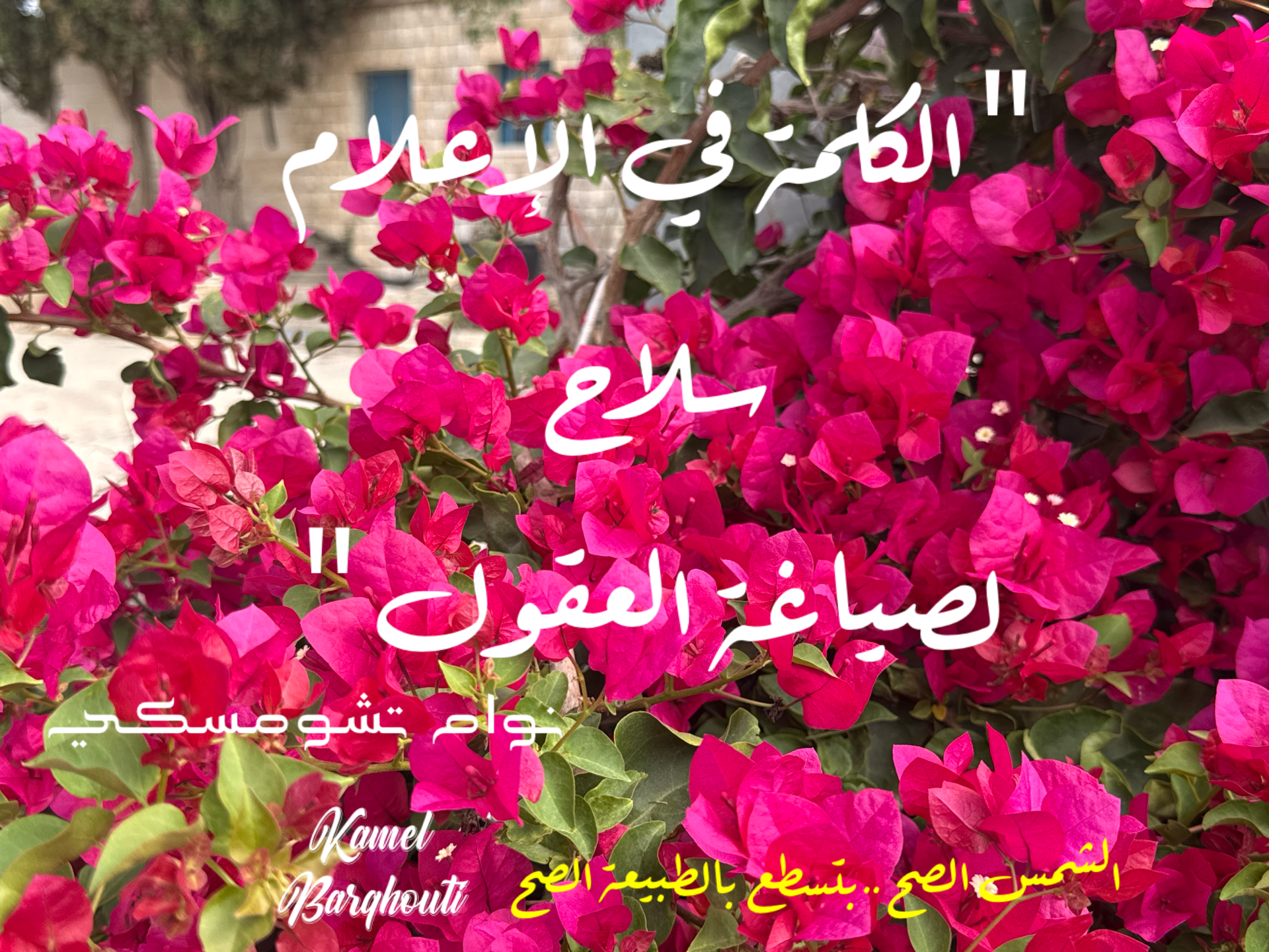 قيم إنسانية – اقتباس 12
