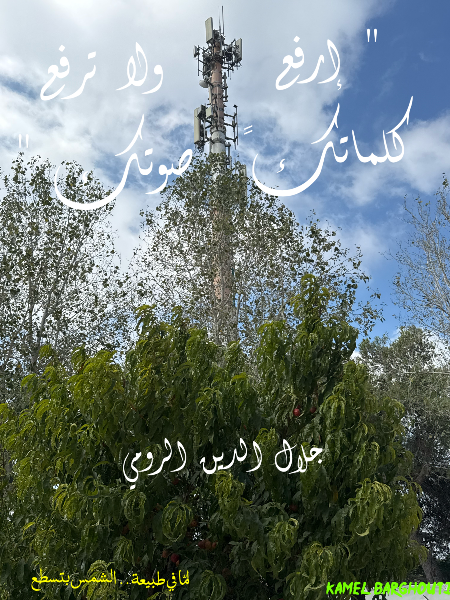 قيم إنسانية – اقتباس 14