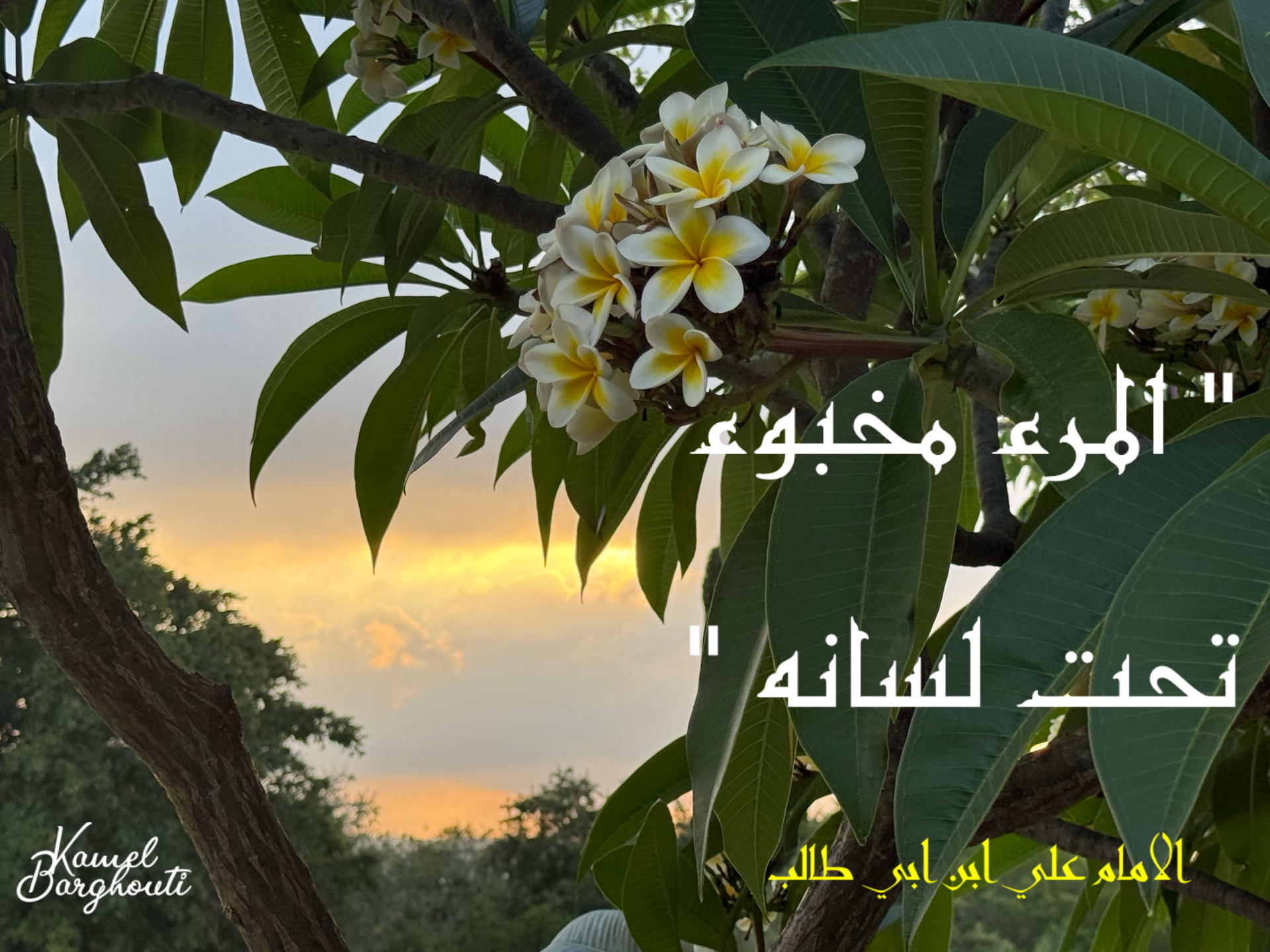 قيم إنسانية – اقتباس 15