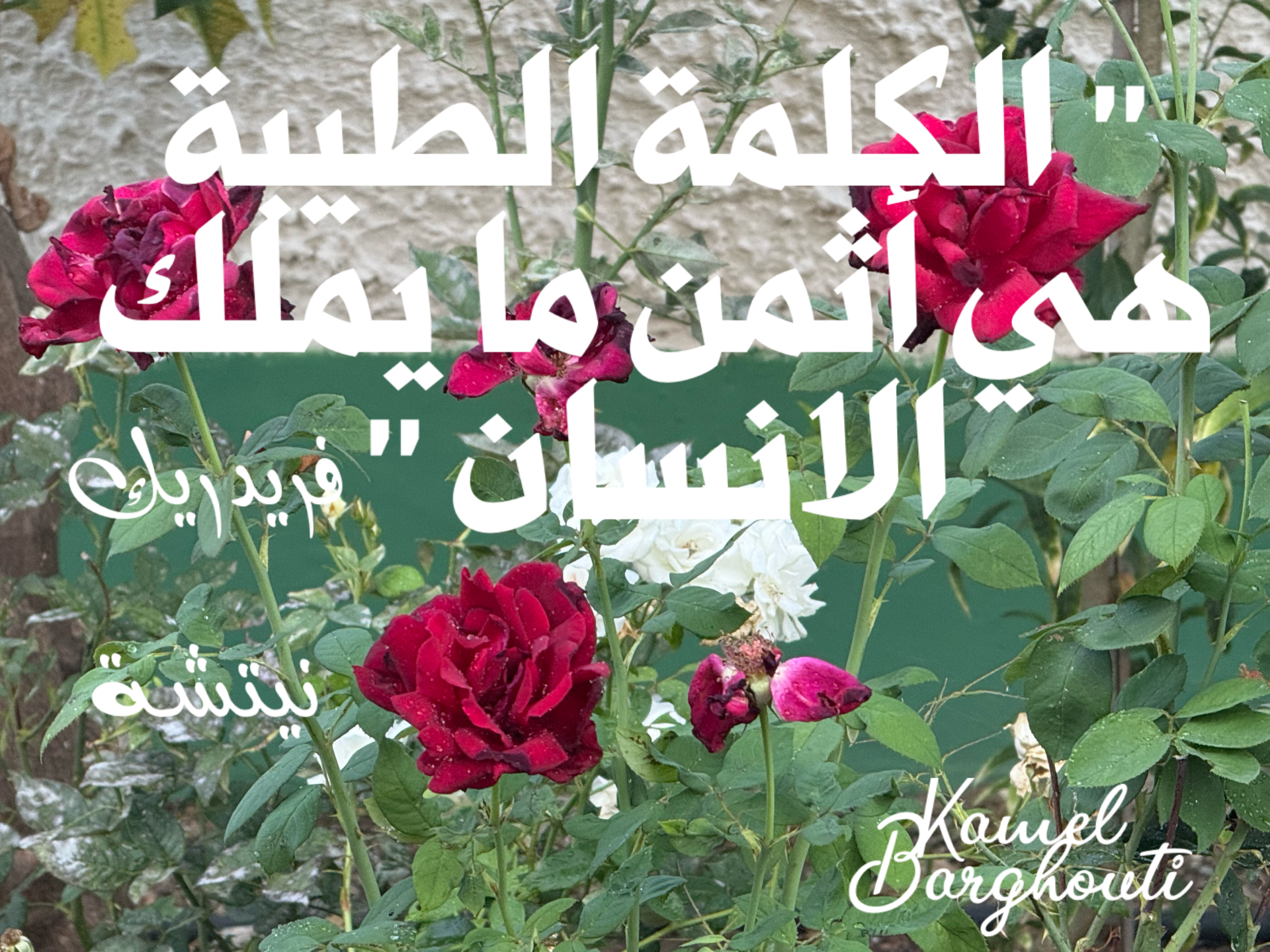 قيم إنسانية – اقتباس 16