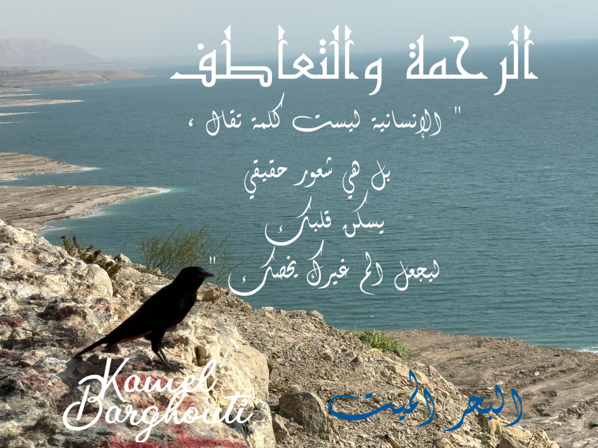 قيم إنسانية – اقتباس 18