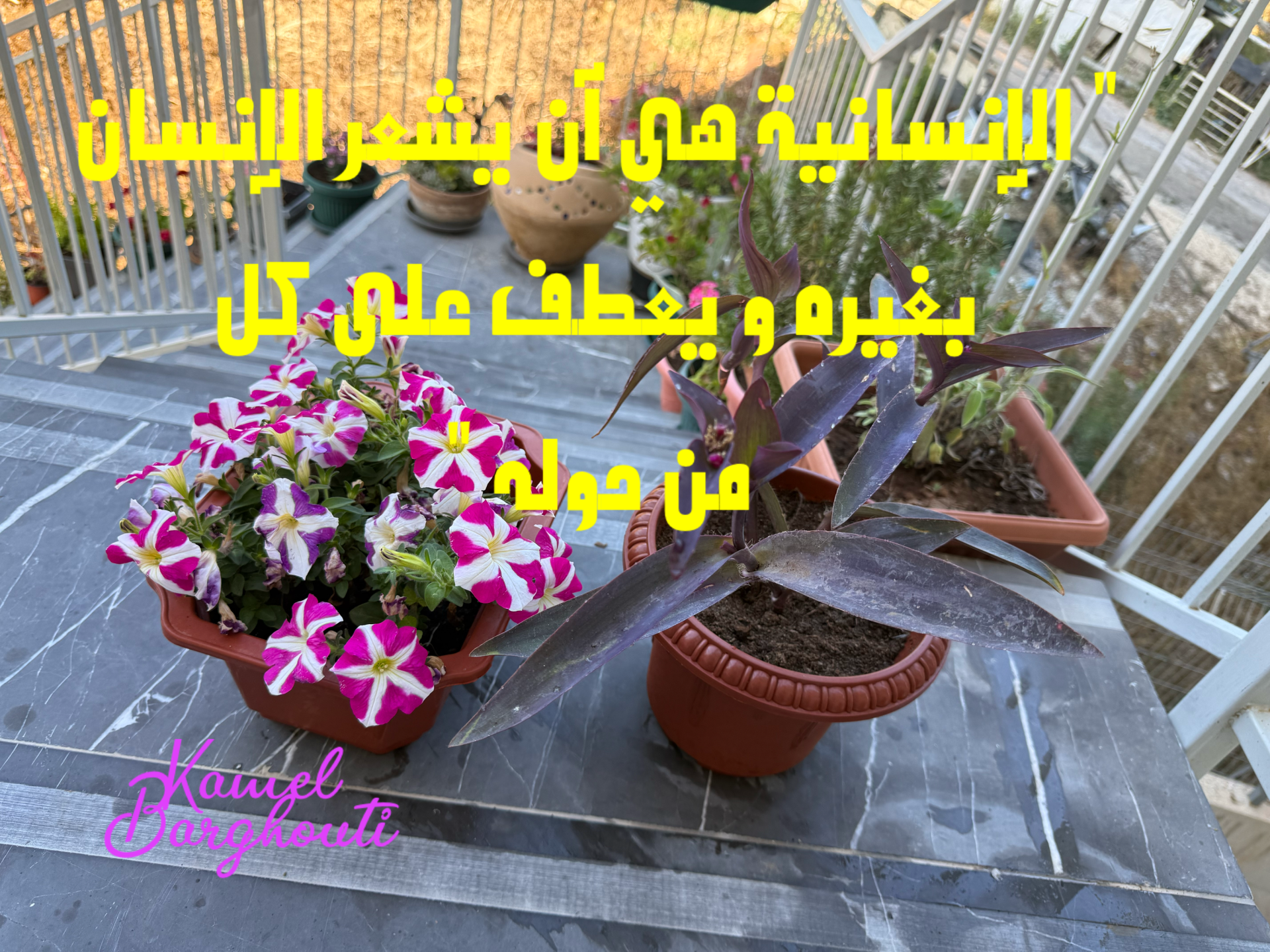 قيم إنسانية – اقتباس 21