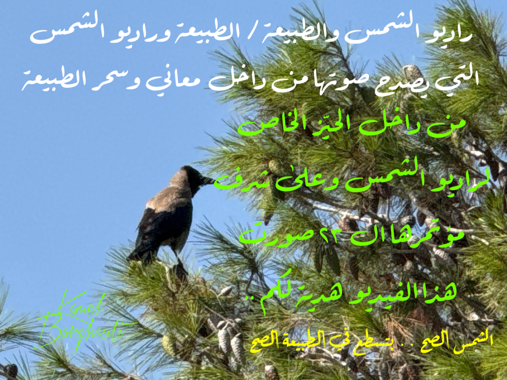 Beautiful Talk – quote 18