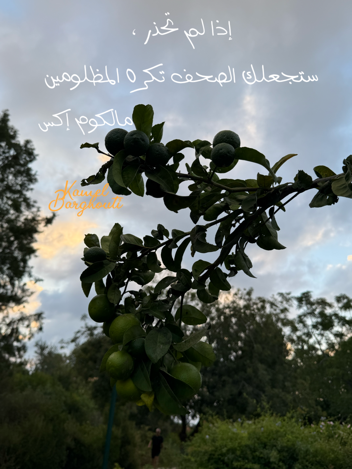 Wisdom – quote 6