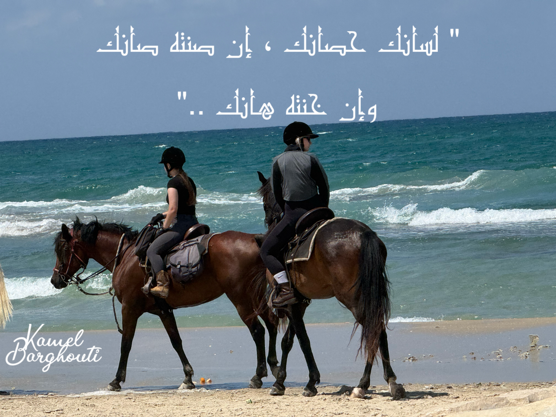 أمثال محلية – اقتباس 8