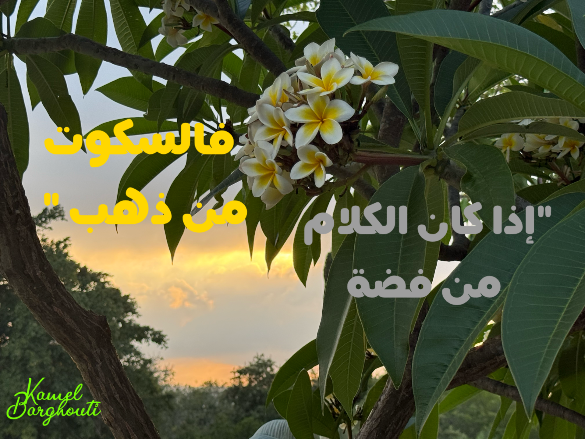 أمثال محلية – اقتباس 7