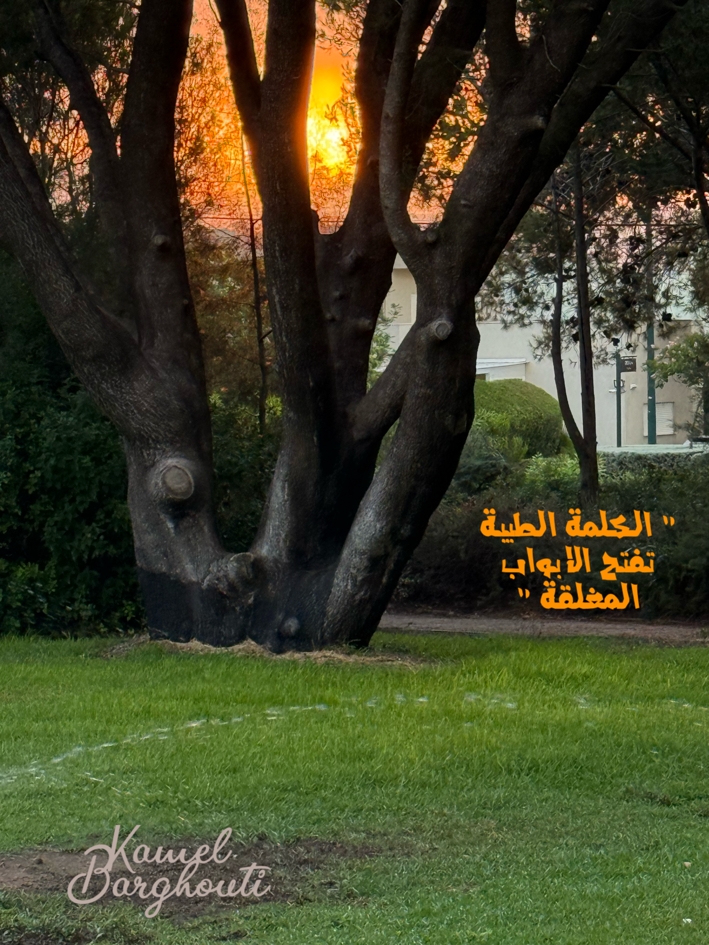 أمثال محلية – اقتباس 4
