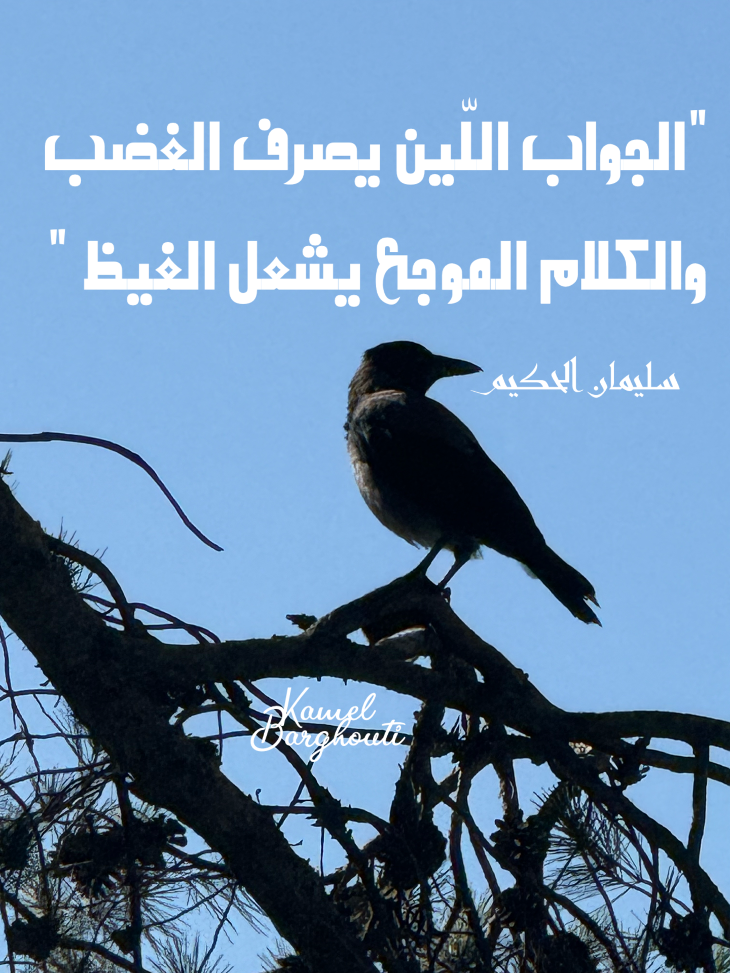Wisdom – quote 3