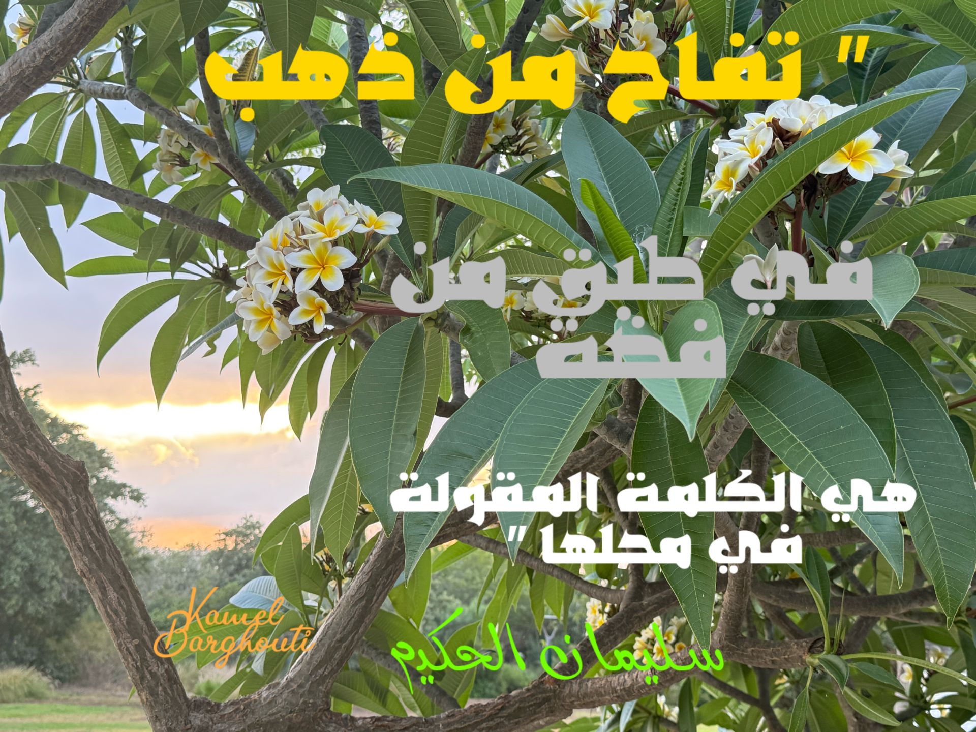Wisdom – quote 4