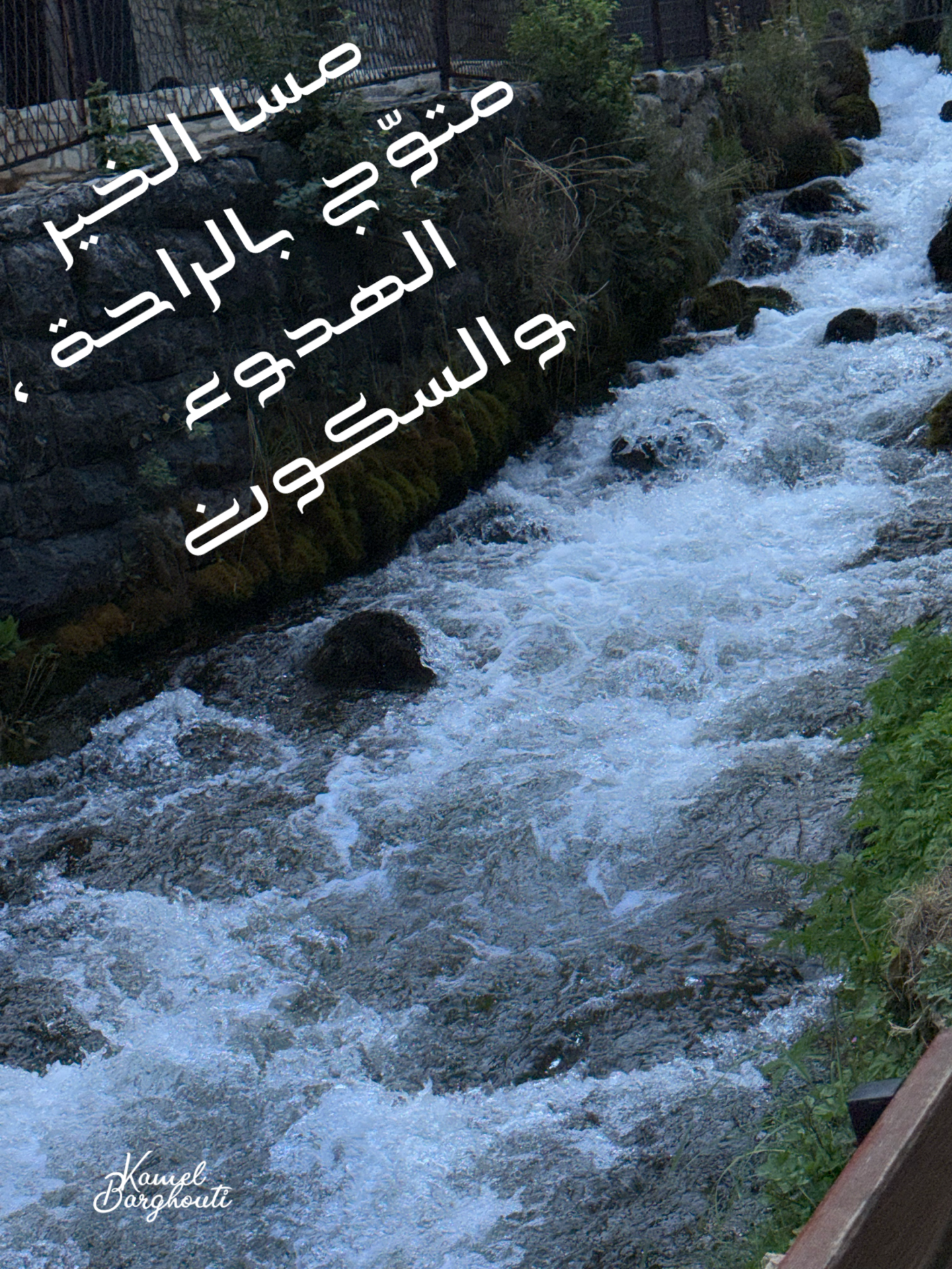 أمثال محلية – اقتباس 1