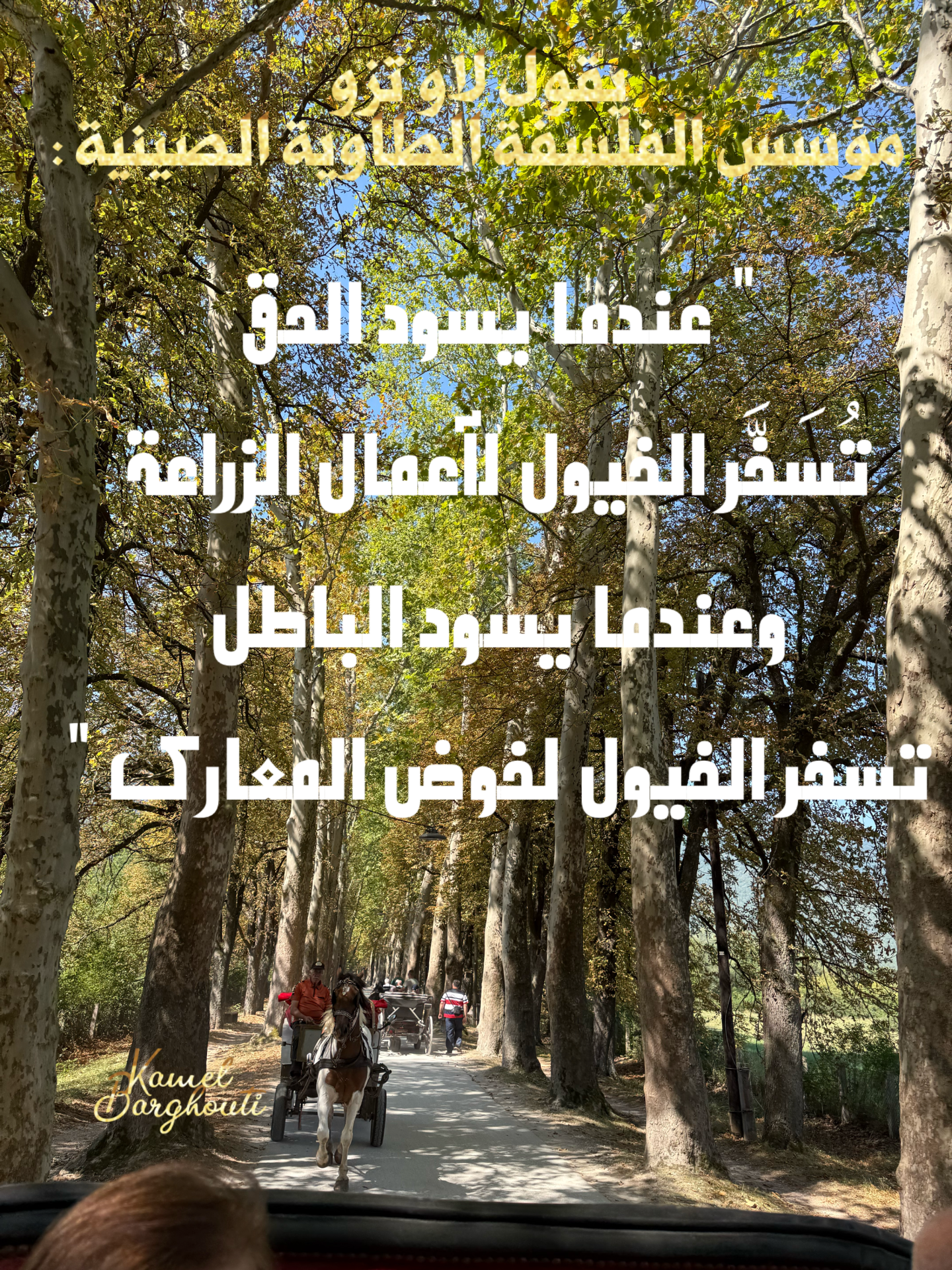 Wisdom – quote 1