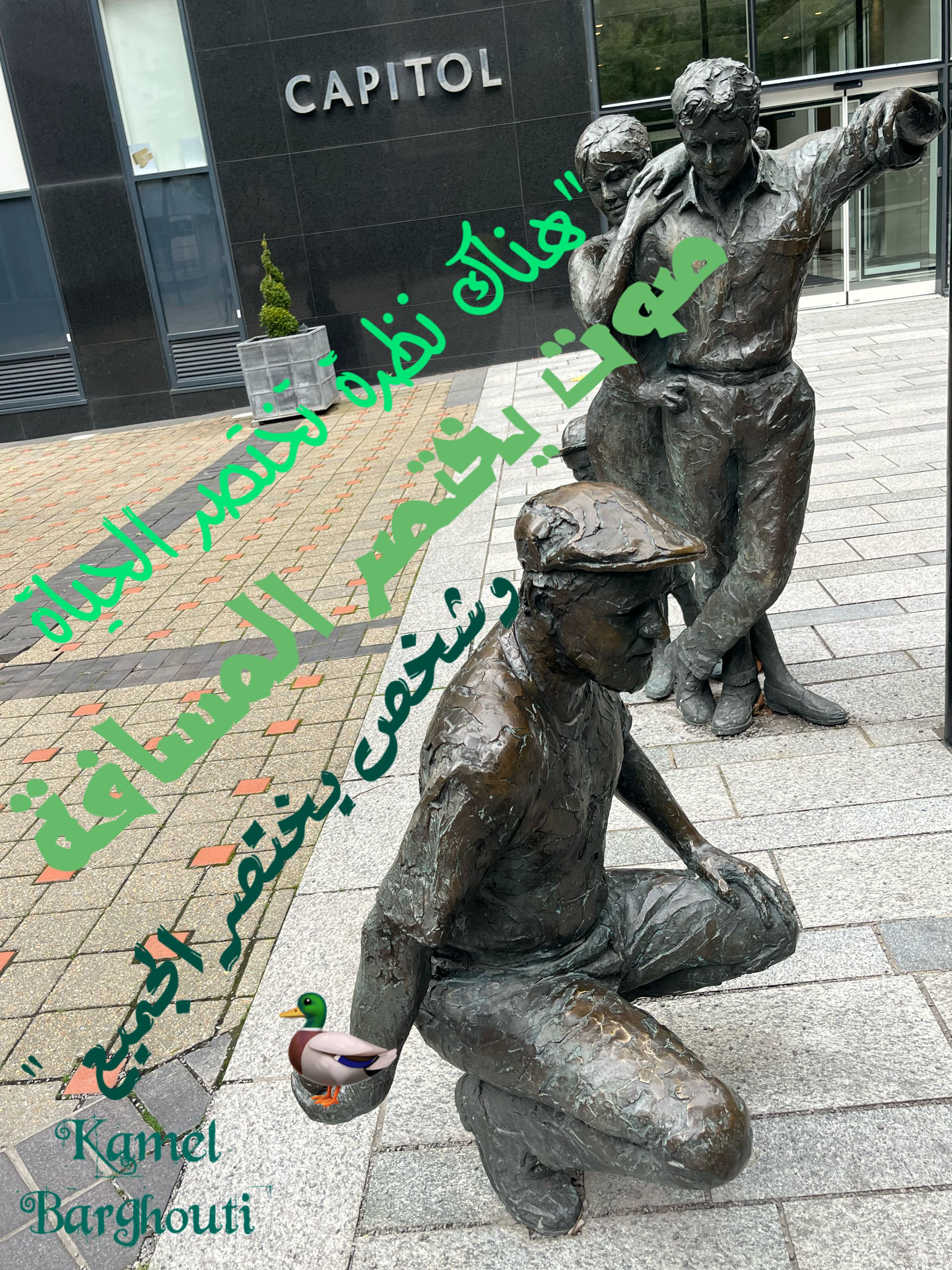 Image 15