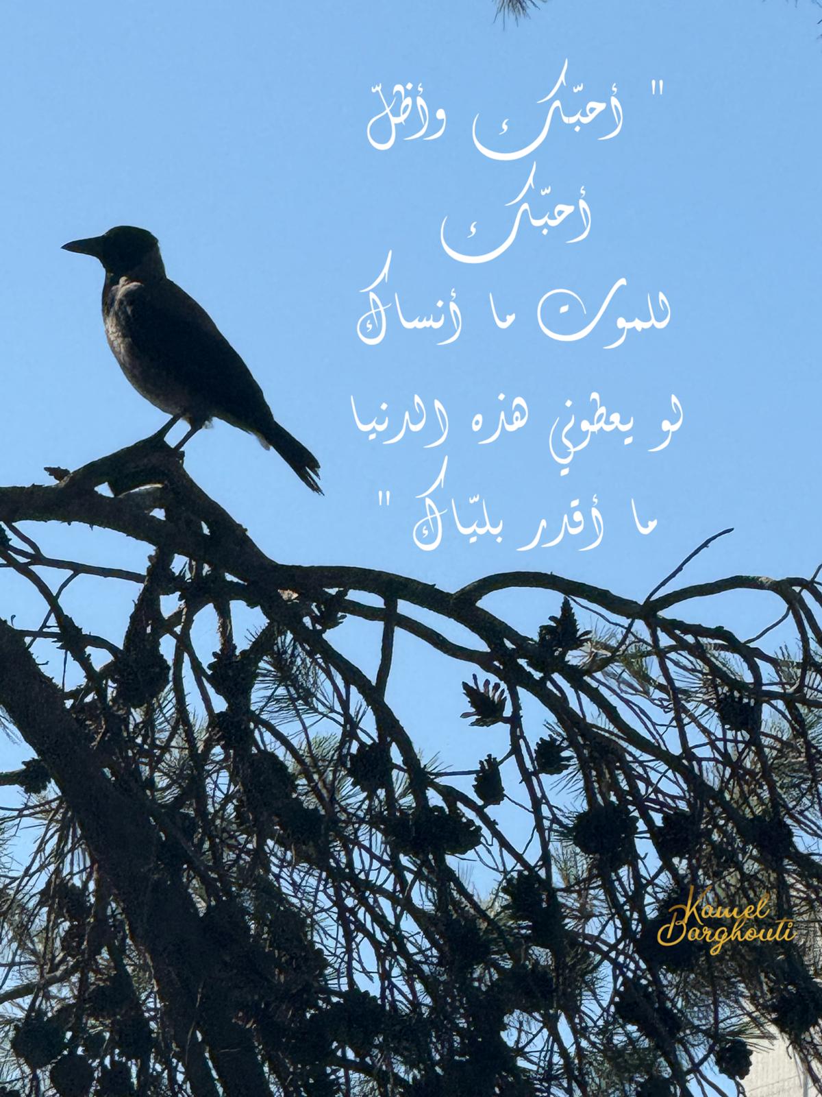حب وحنين – اقتباس 45