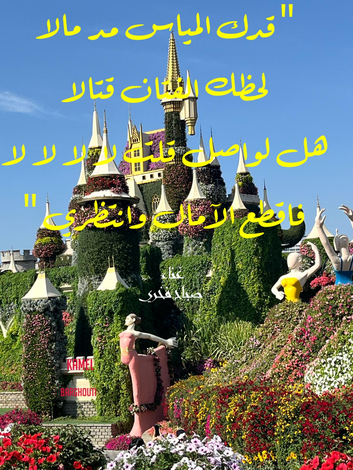 كلام جميل – اقتباس 767