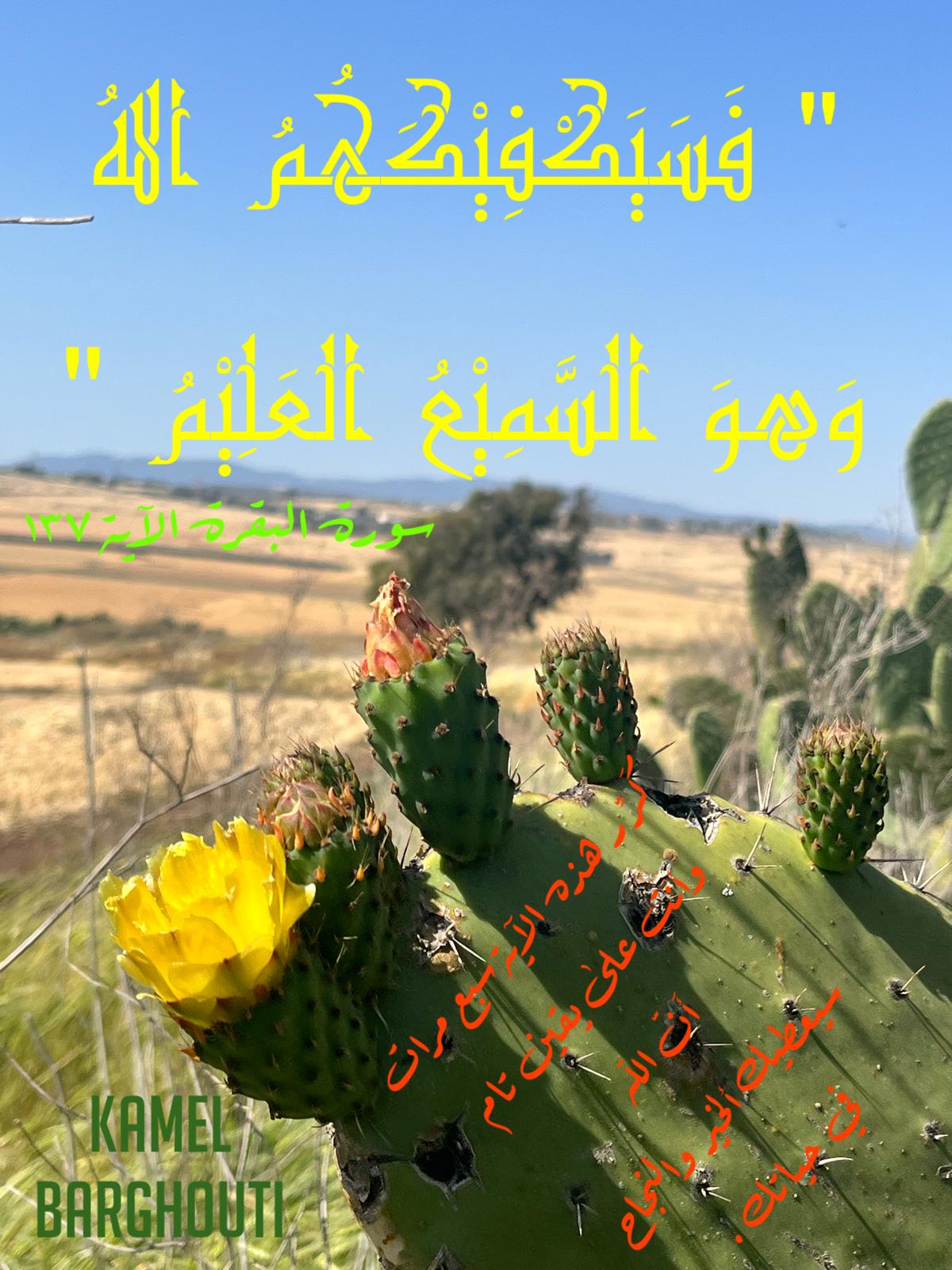 اليقين بالله – اقتباس 236