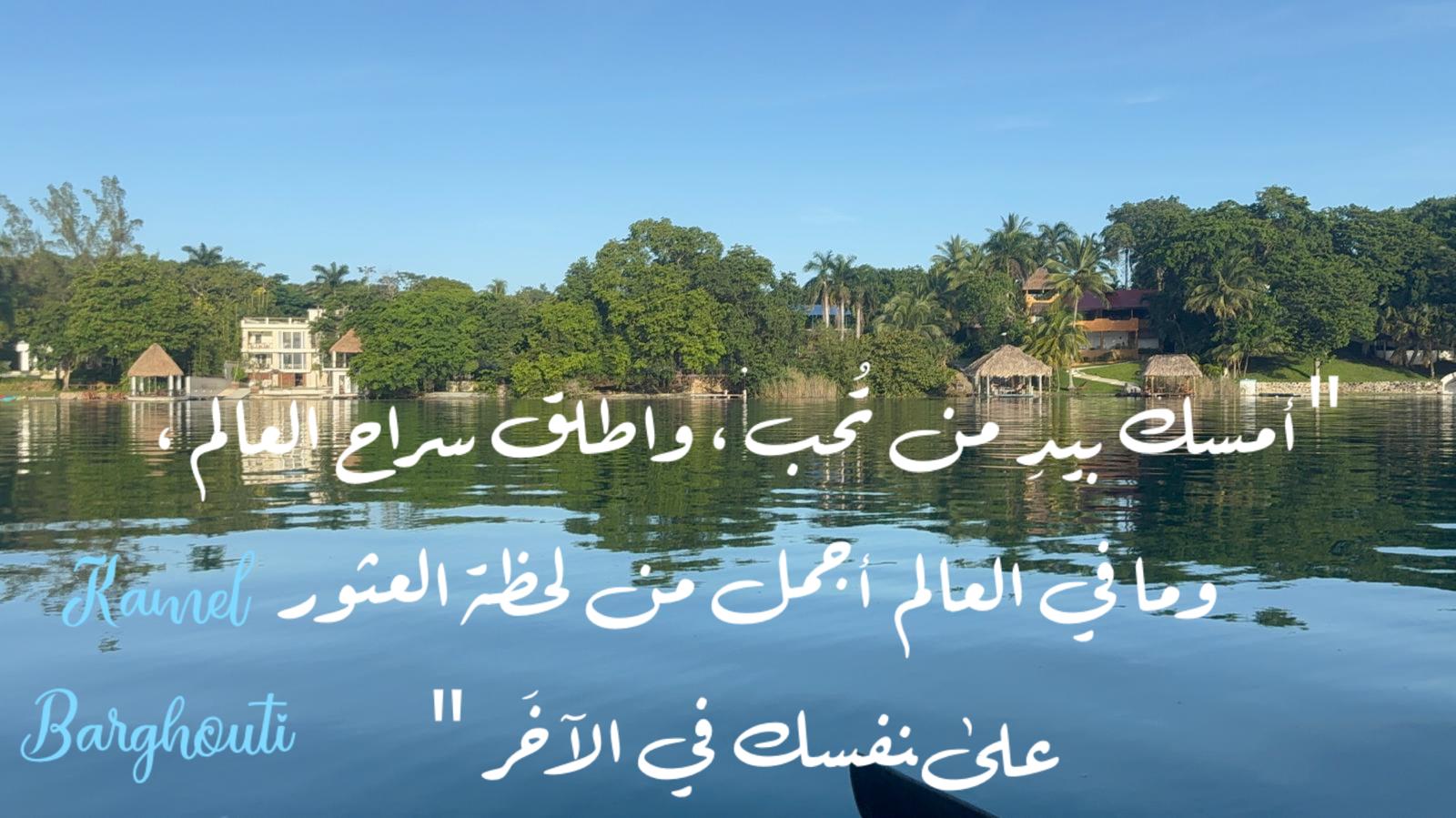 العزيمة والإصرار والثقة بالنفس – اقتباس 300