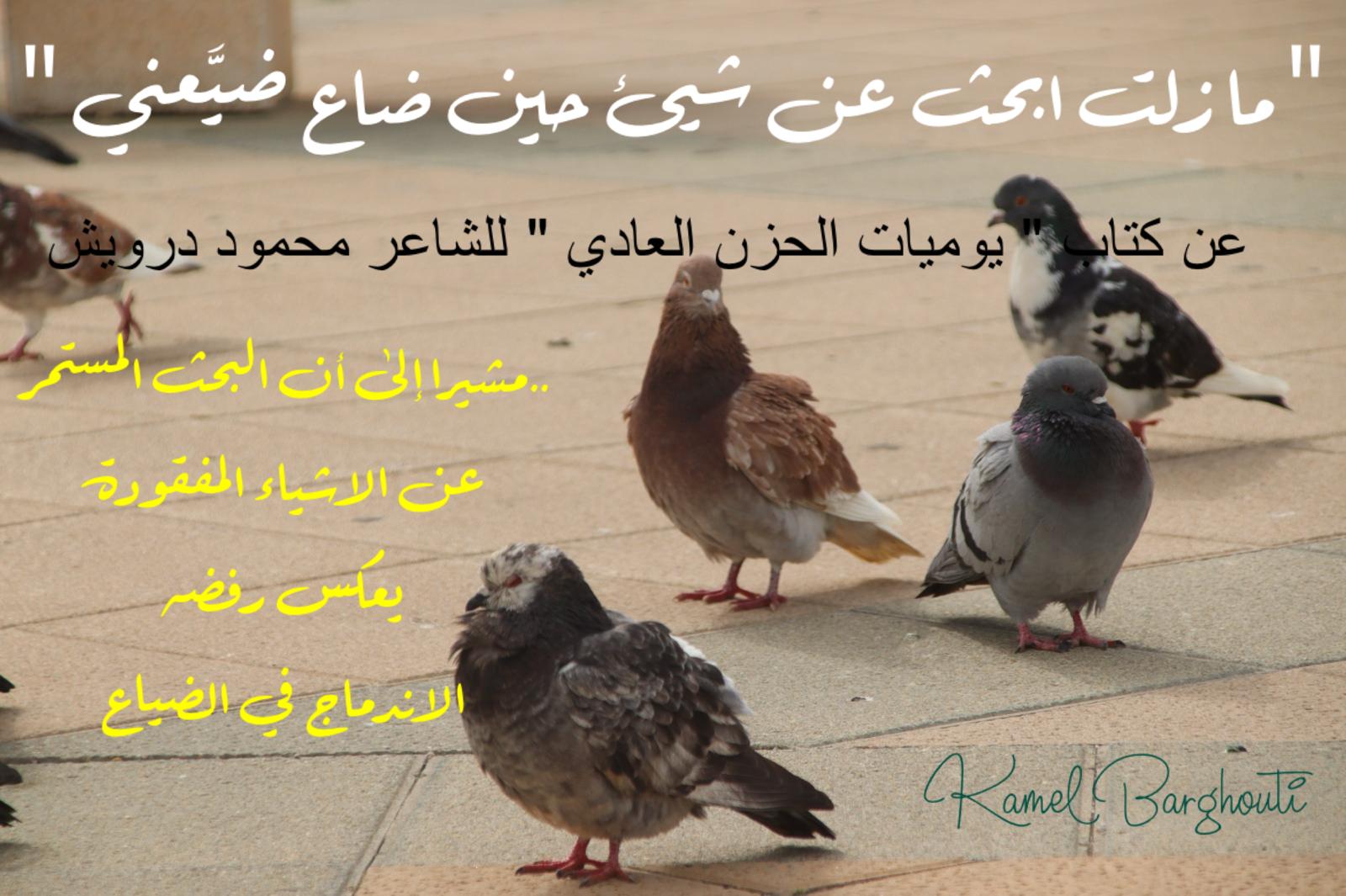 العزيمة والإصرار والثقة بالنفس – اقتباس 304