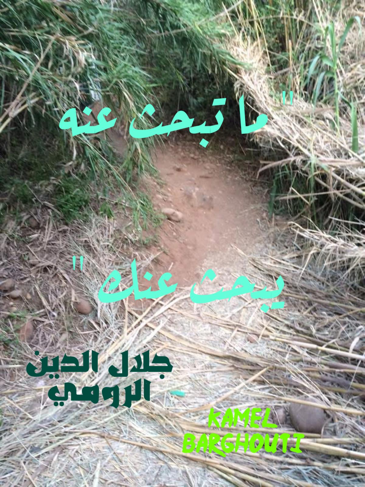 العزيمة والإصرار والثقة بالنفس – اقتباس 298