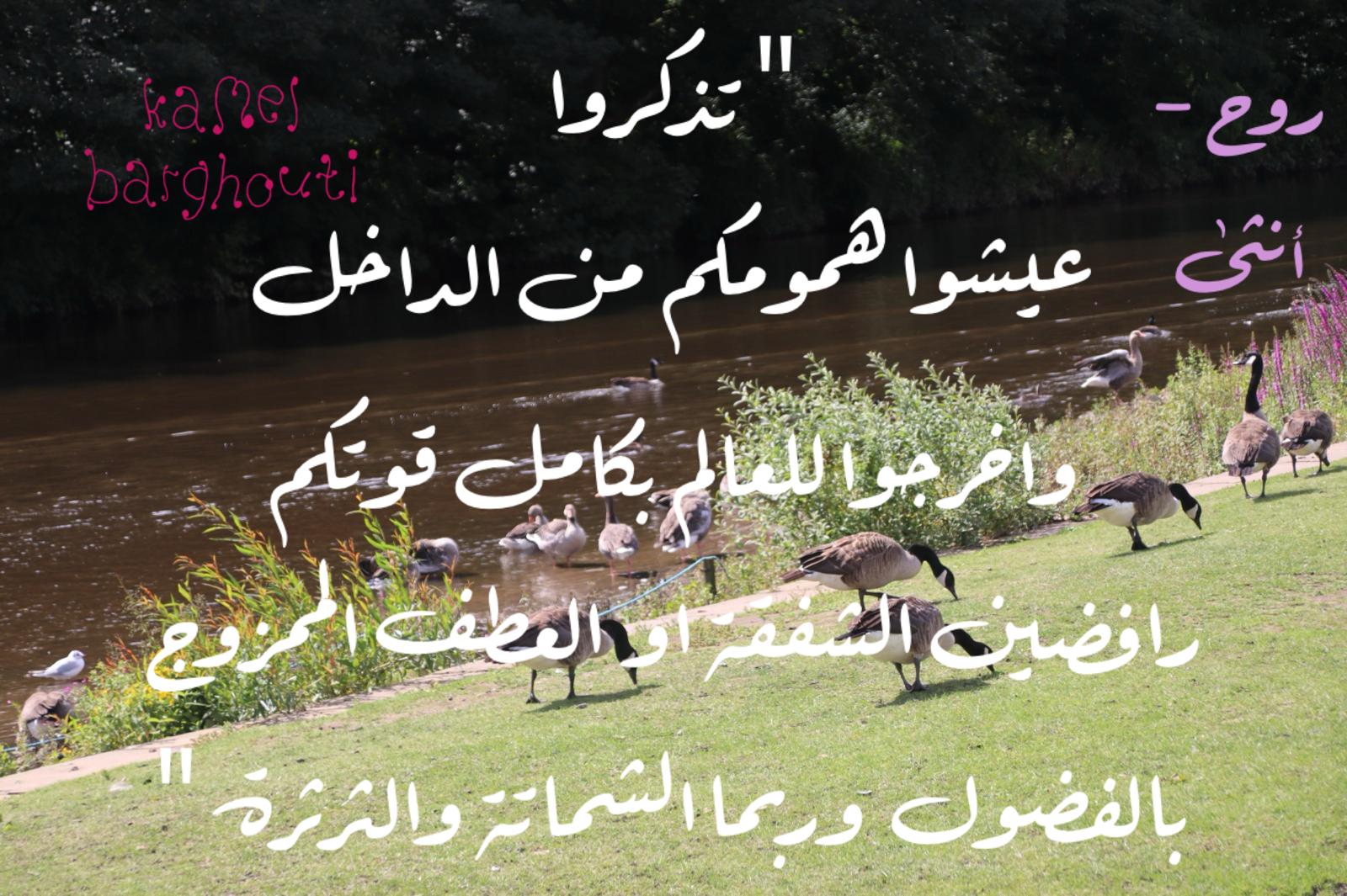 العزيمة والإصرار والثقة بالنفس – اقتباس 292