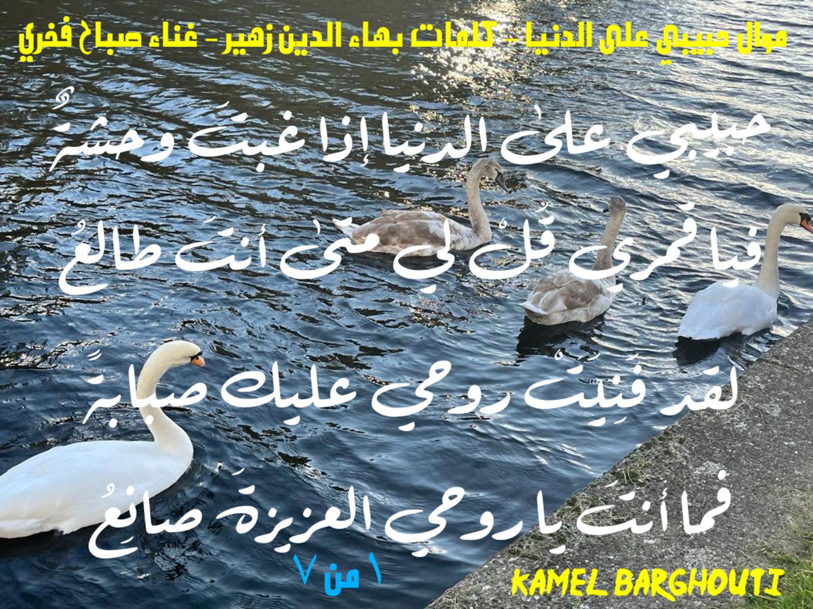 حب وحنين – اقتباس 638