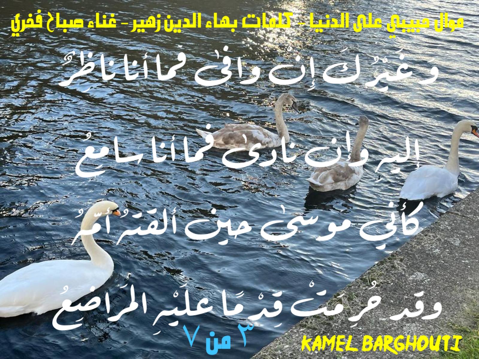 حب وحنين – اقتباس 640