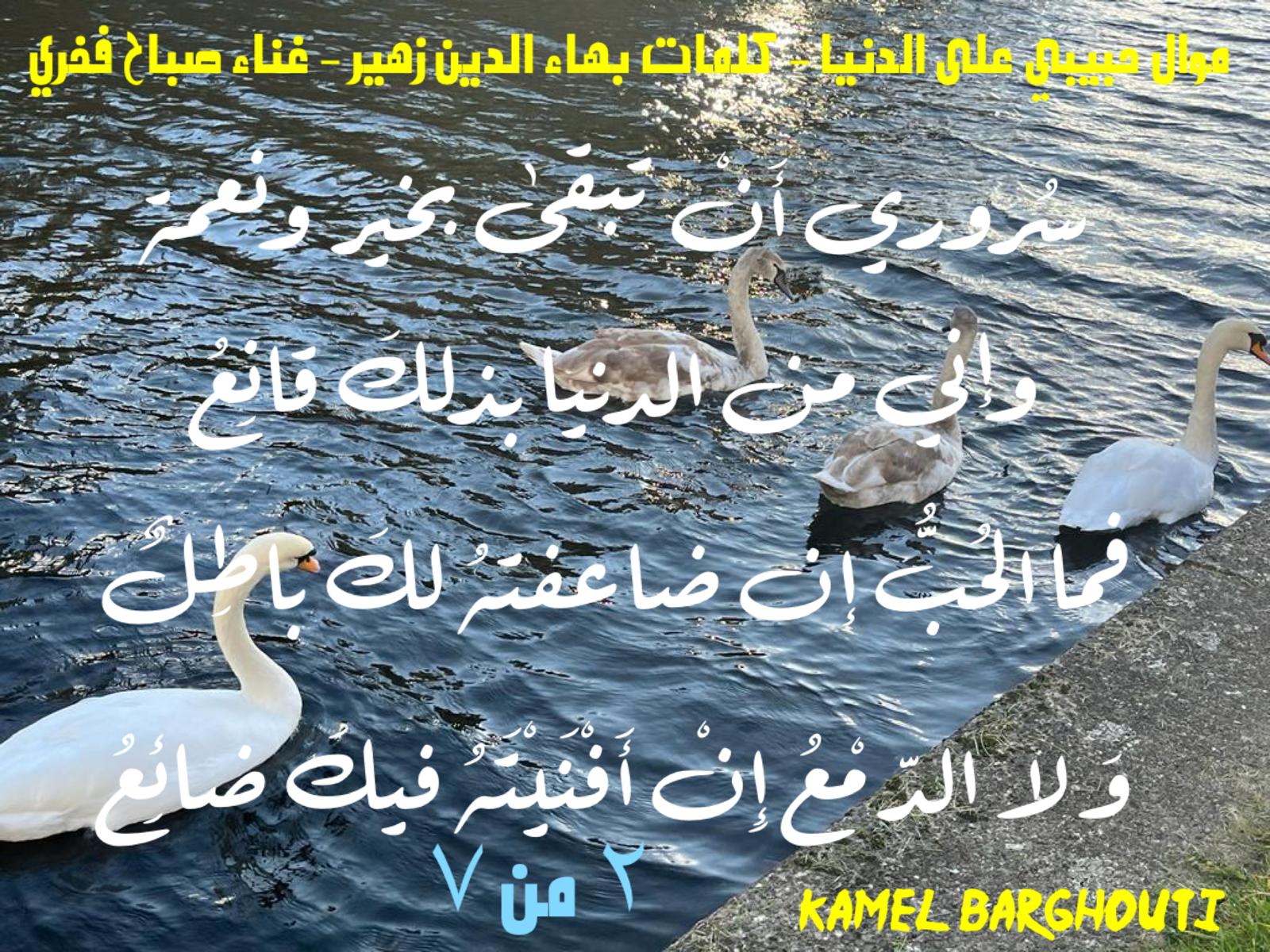 حب وحنين – اقتباس 639
